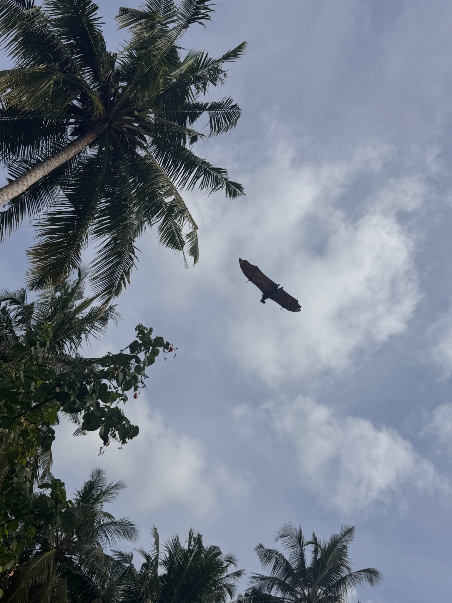 2025 03 07 15.57.20 iphone 15pm