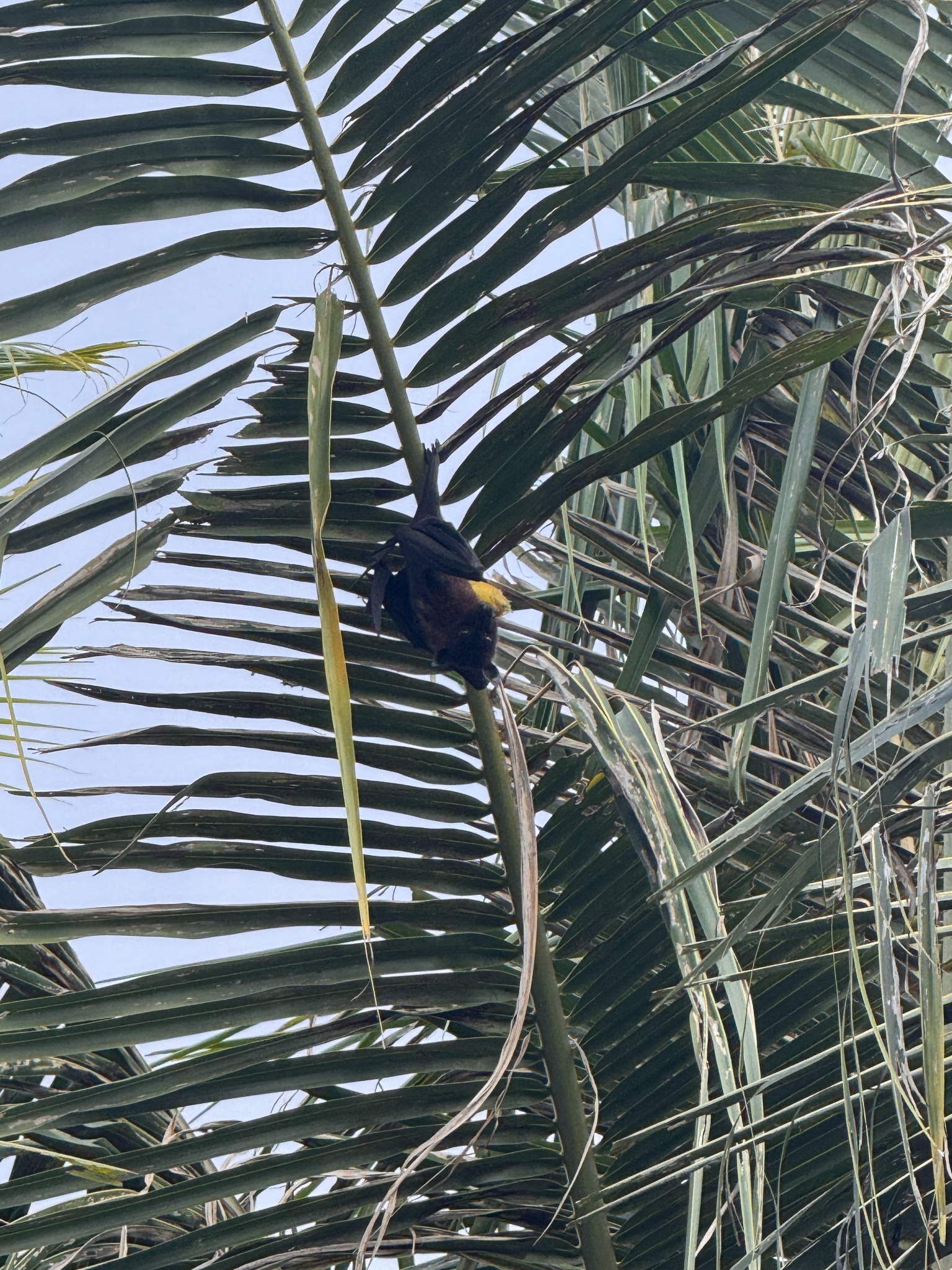 2025 03 07 15.58.15 iphone 15pm