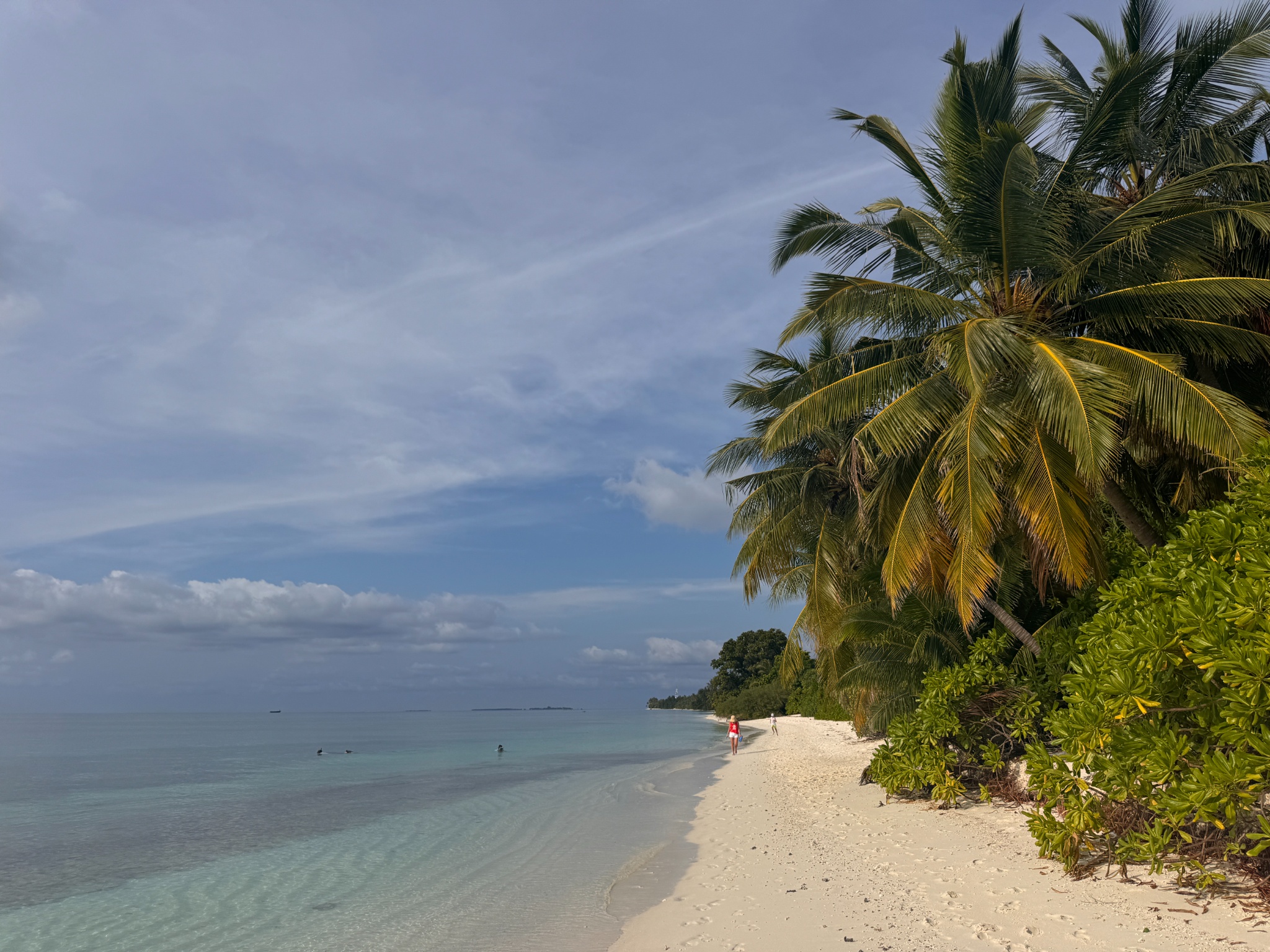 2025 03 07 16.30.53 iphone 15pm