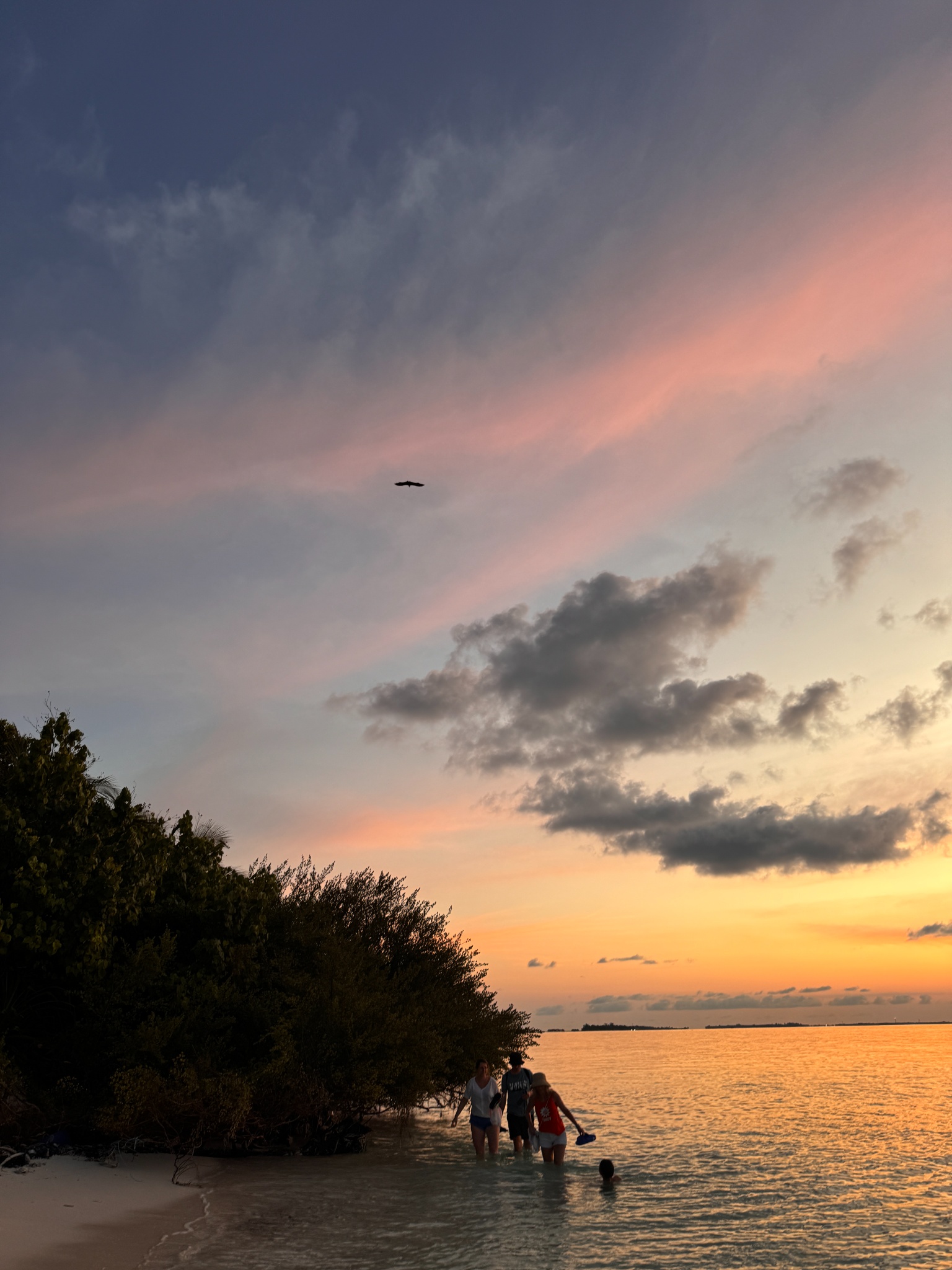 2025 03 07 18.30.31 iphone 15pm