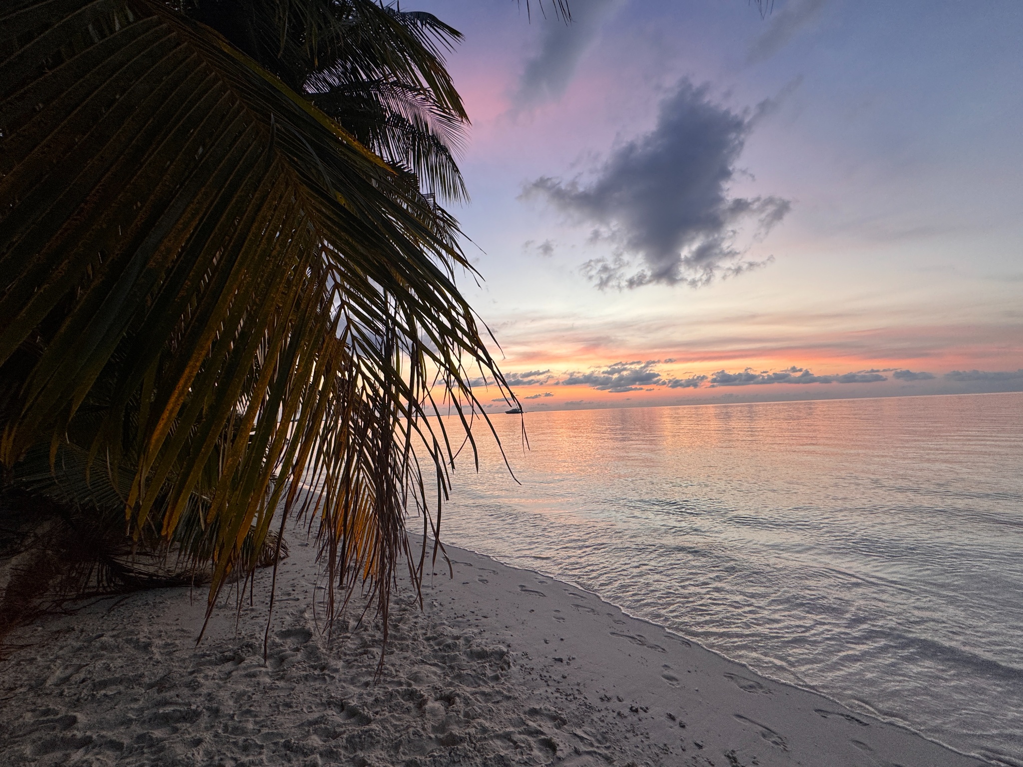 2025 03 07 18.32.17 iphone 15pm