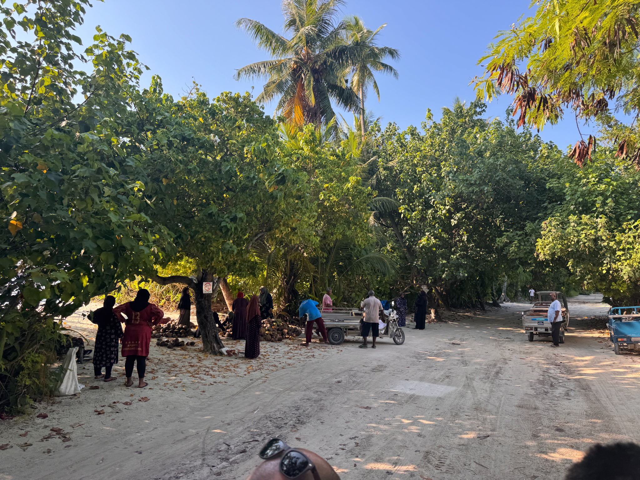 2025 03 08 08.21.20 iphone 15pm