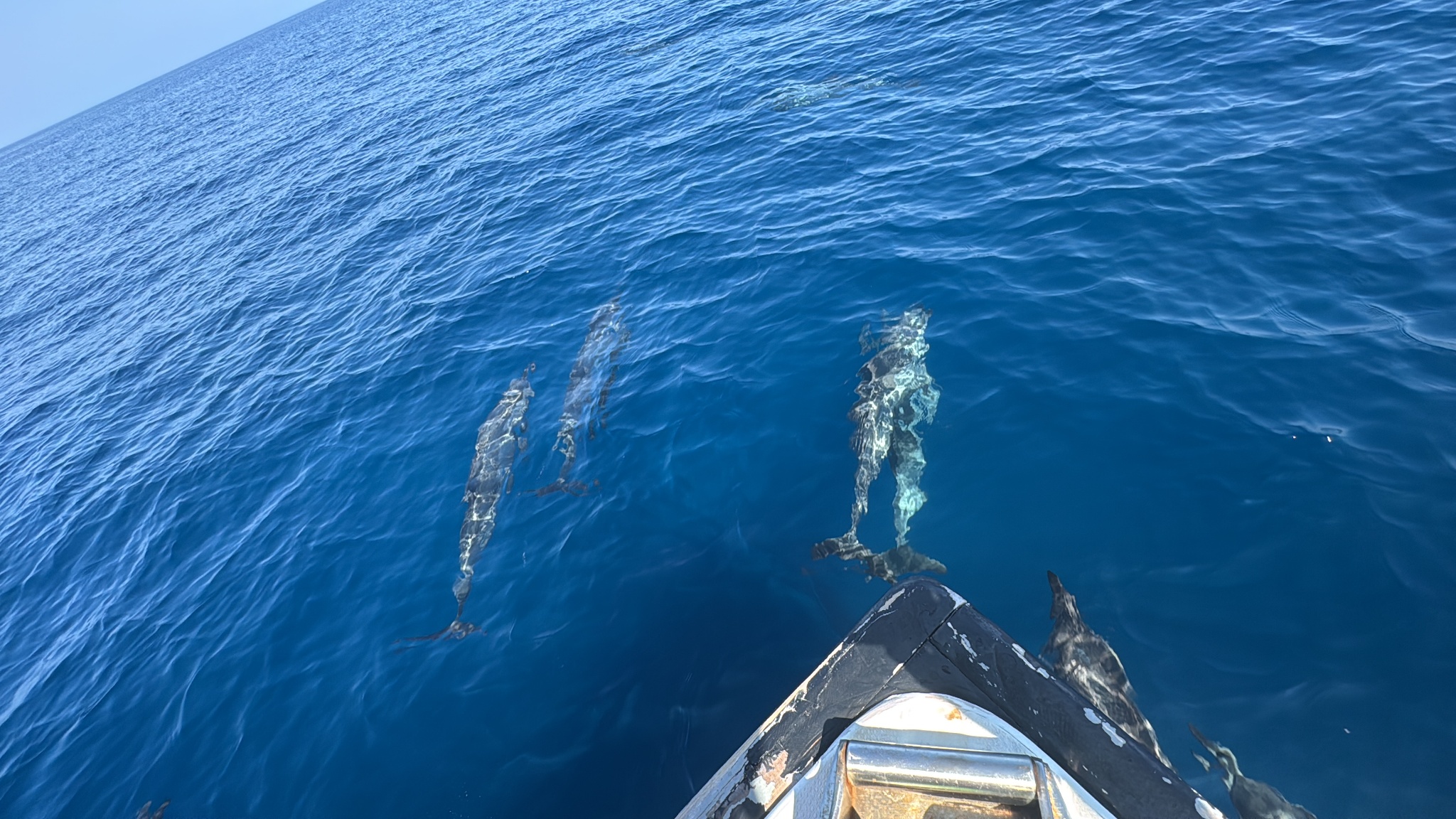 2025 03 08 09.47.03 iphone 15pm