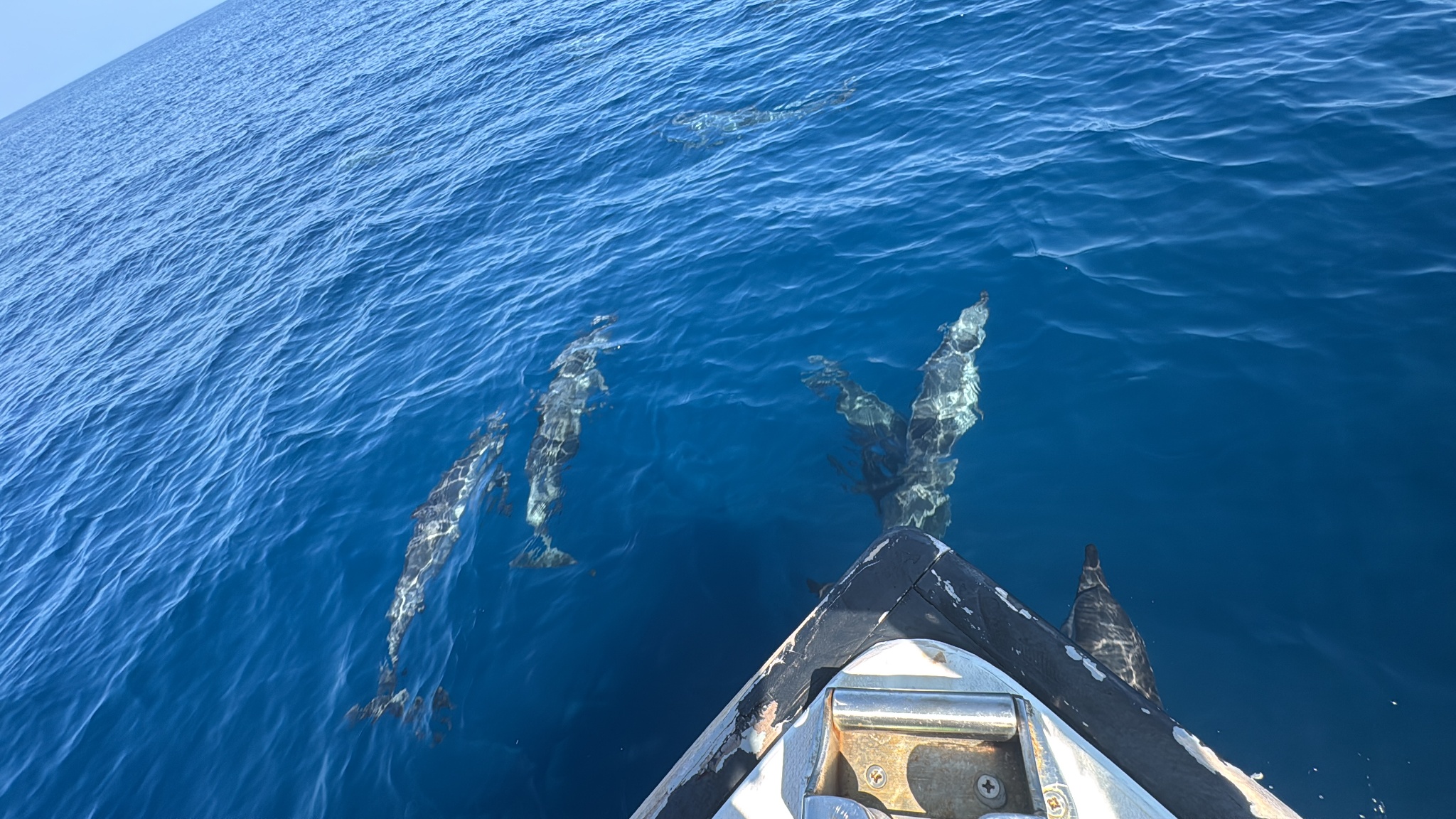 2025 03 08 09.47.04.1 iphone 15pm