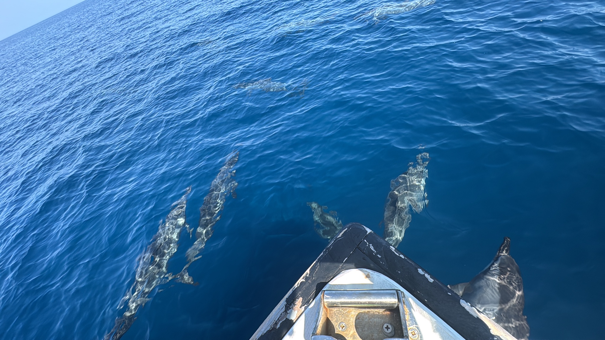 2025 03 08 09.47.04 iphone 15pm