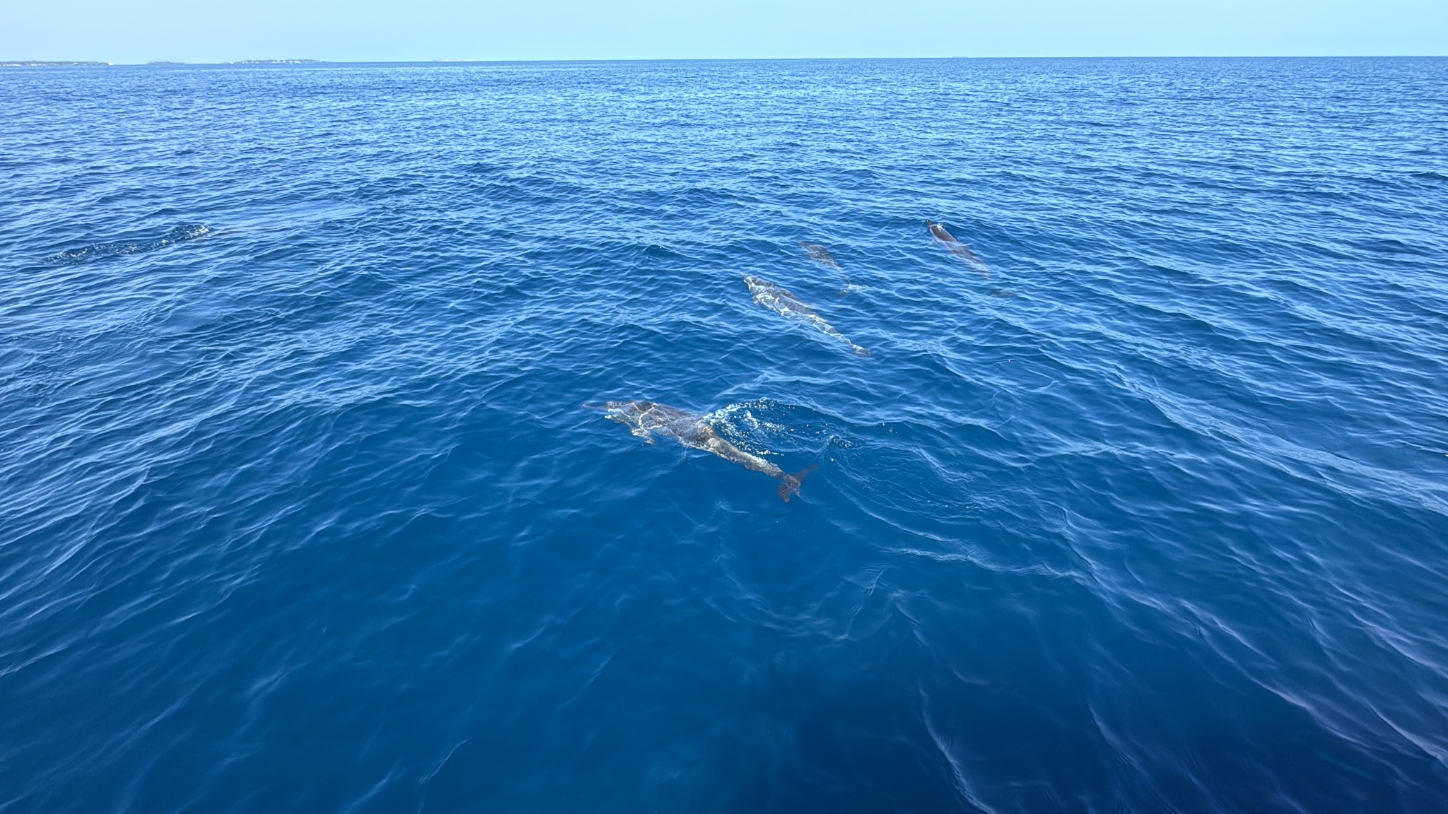 2025 03 08 09.49.09.1 iphone 15pm