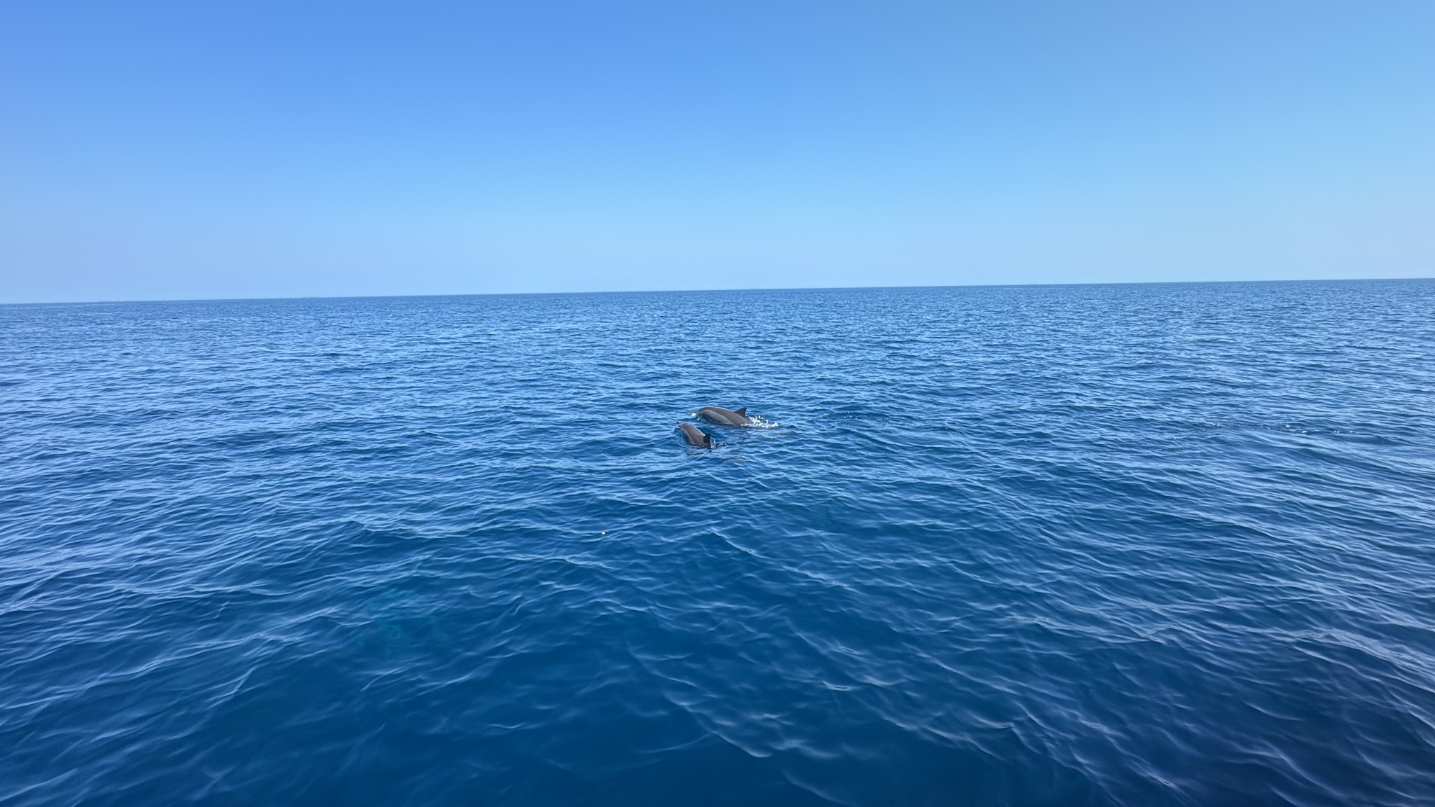 2025 03 08 09.49.20 iphone 15pm