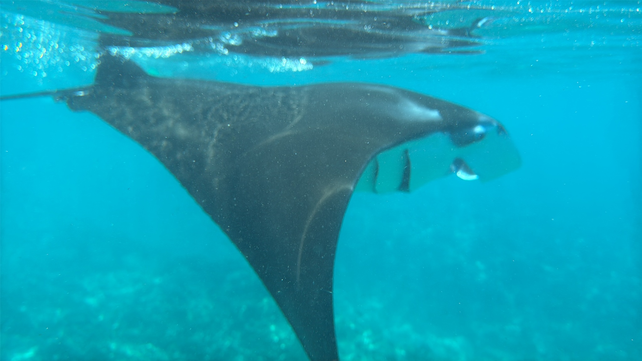 2025 03 08 10.46.06 iphone 15pm