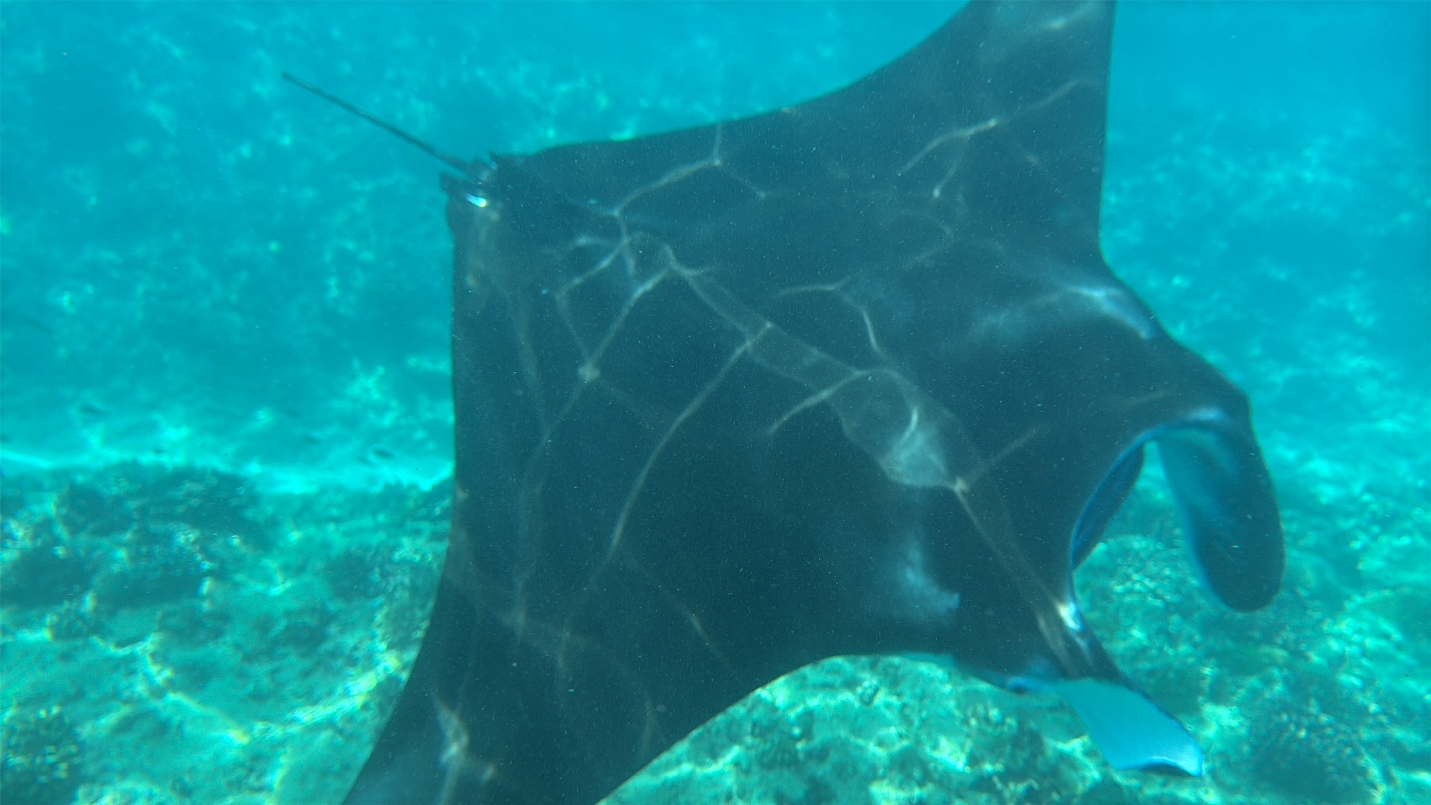 2025 03 08 10.46.13 iphone 15pm