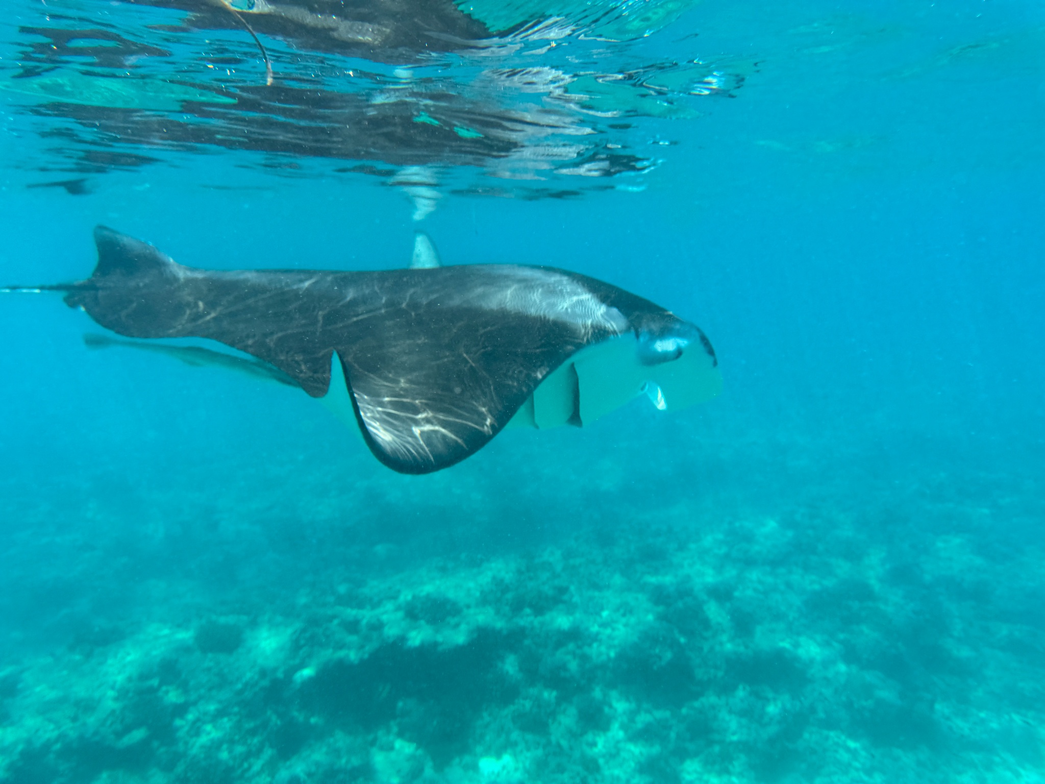 2025 03 08 11.02.55 iphone 15pm