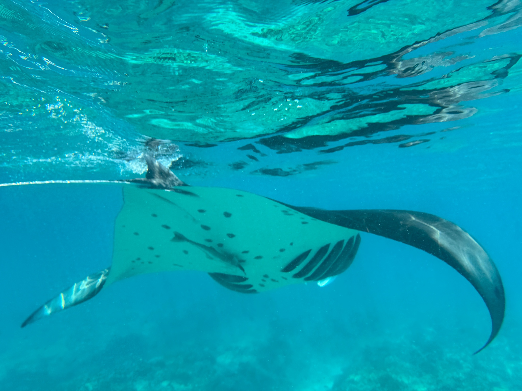 2025 03 08 11.02.59 iphone 15pm