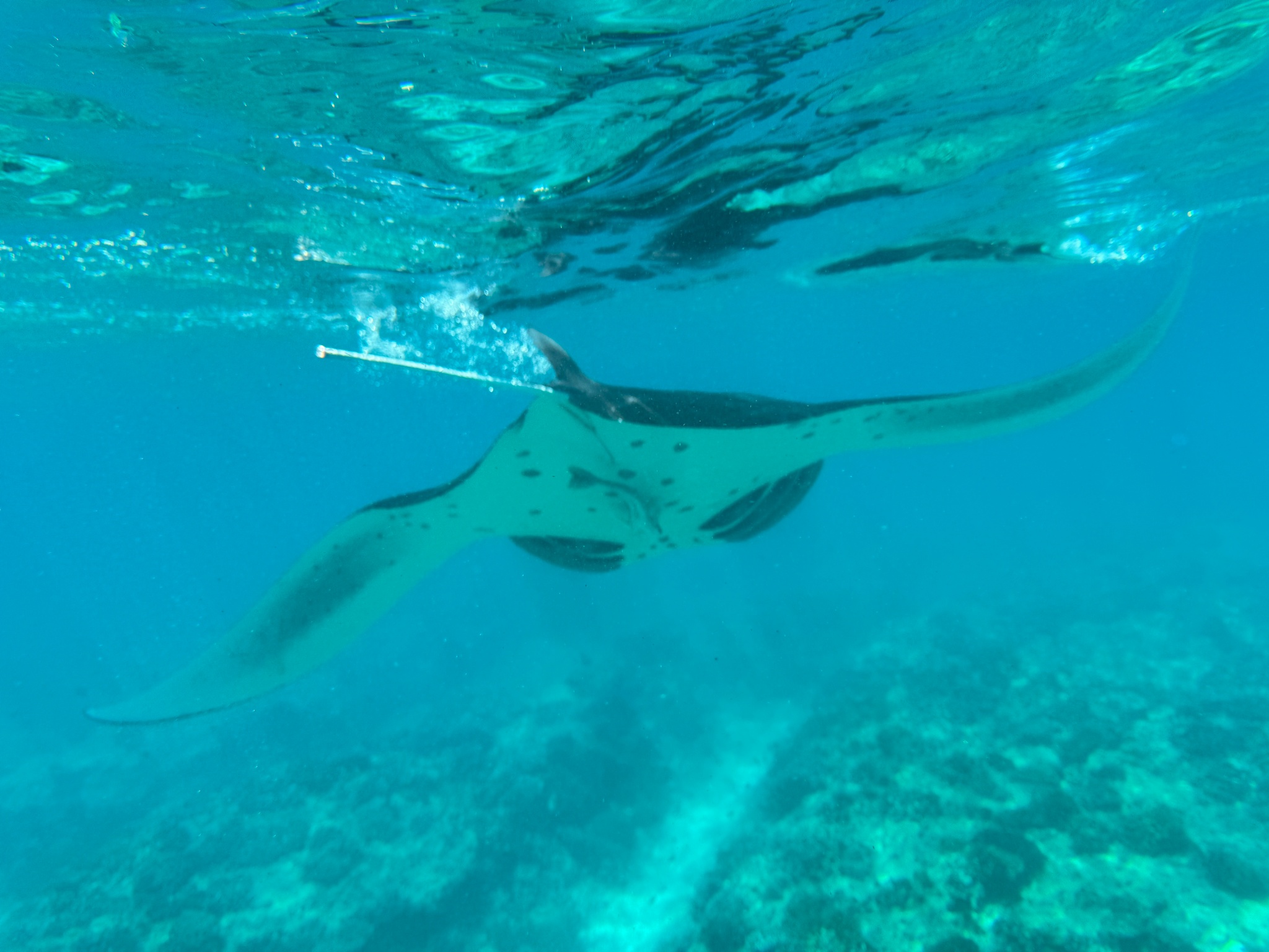 2025 03 08 11.03.00 iphone 15pm