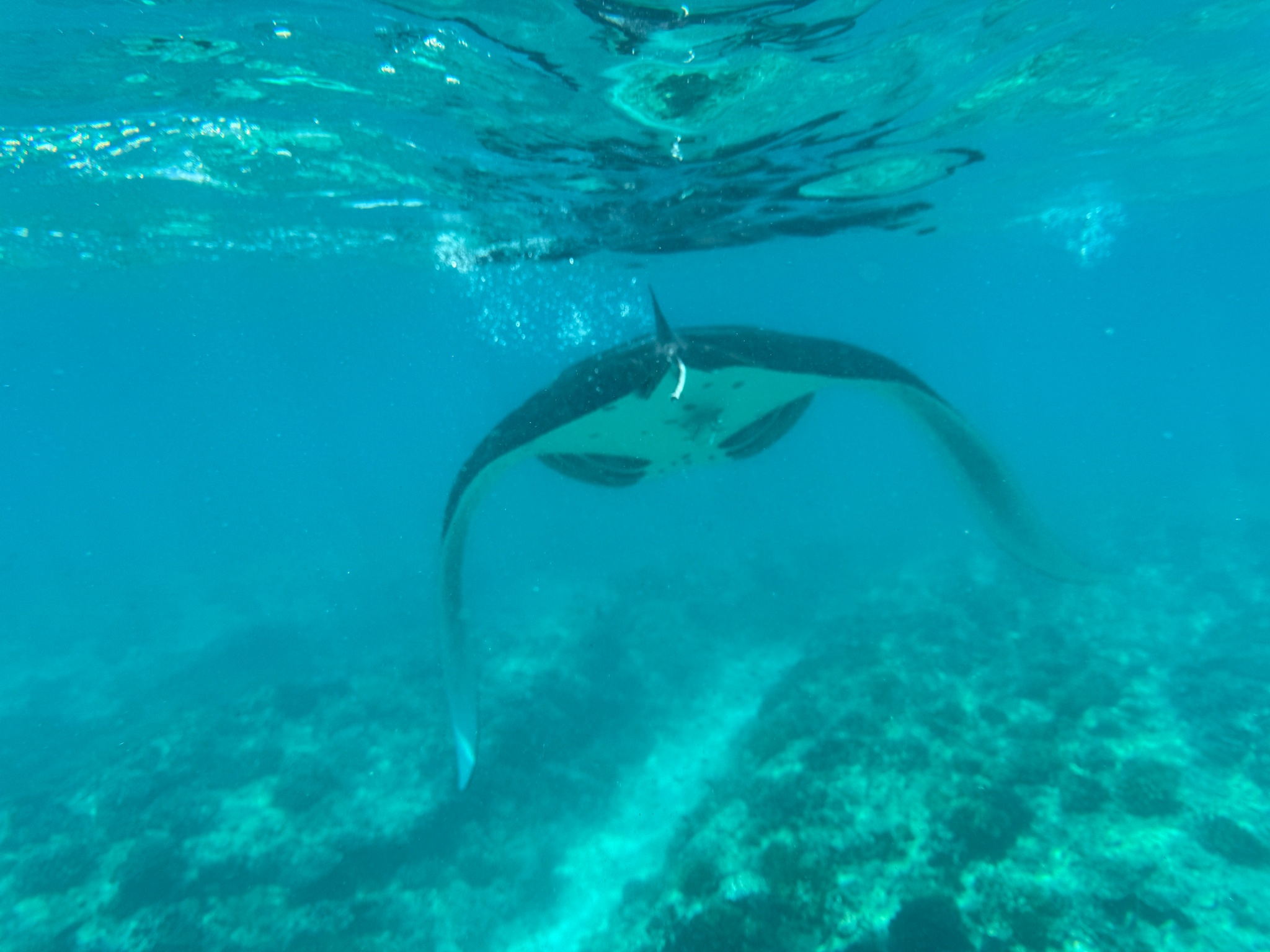 2025 03 08 11.03.01 iphone 15pm