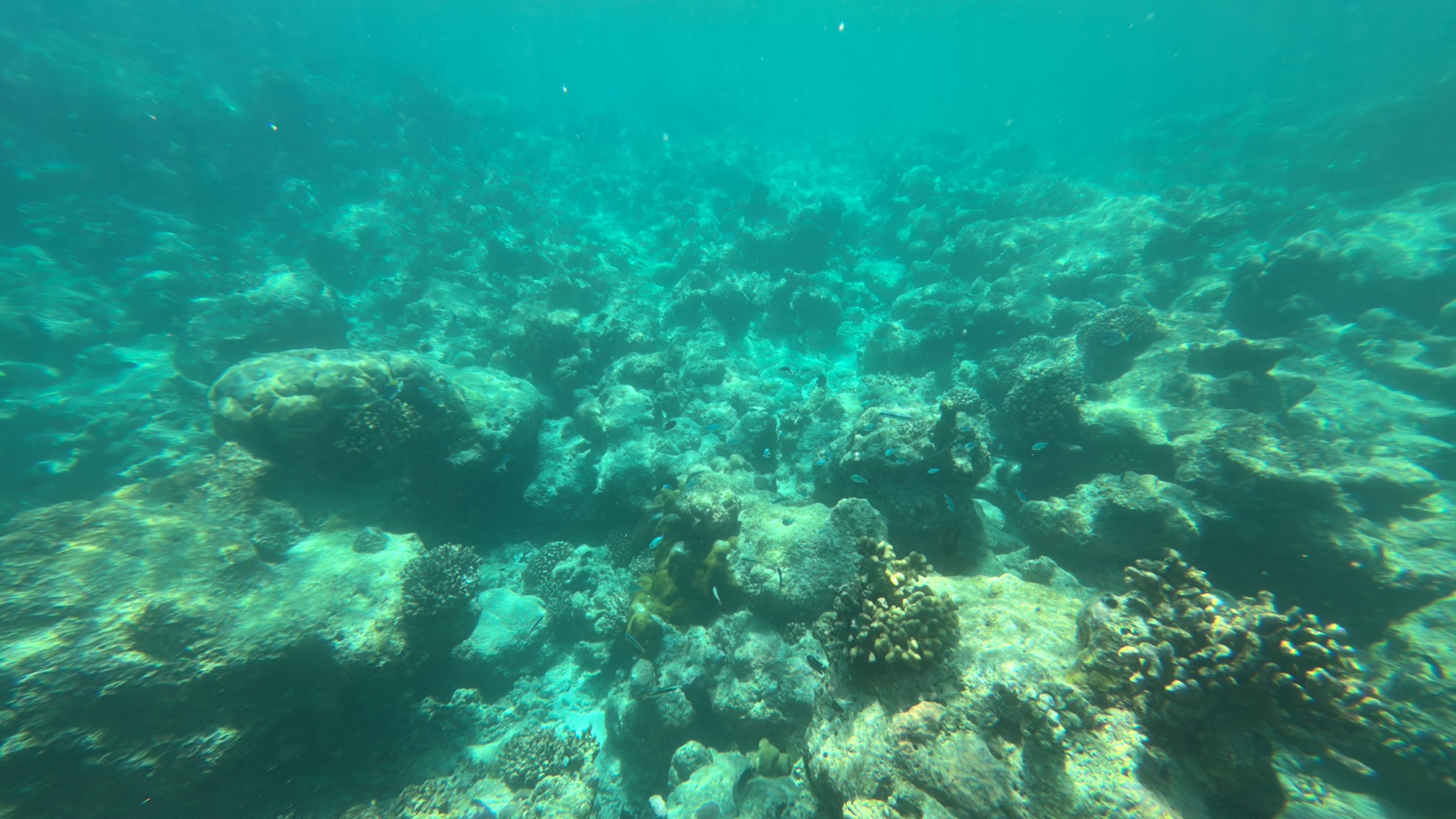 2025 03 08 12.58.04 iphone 15pm