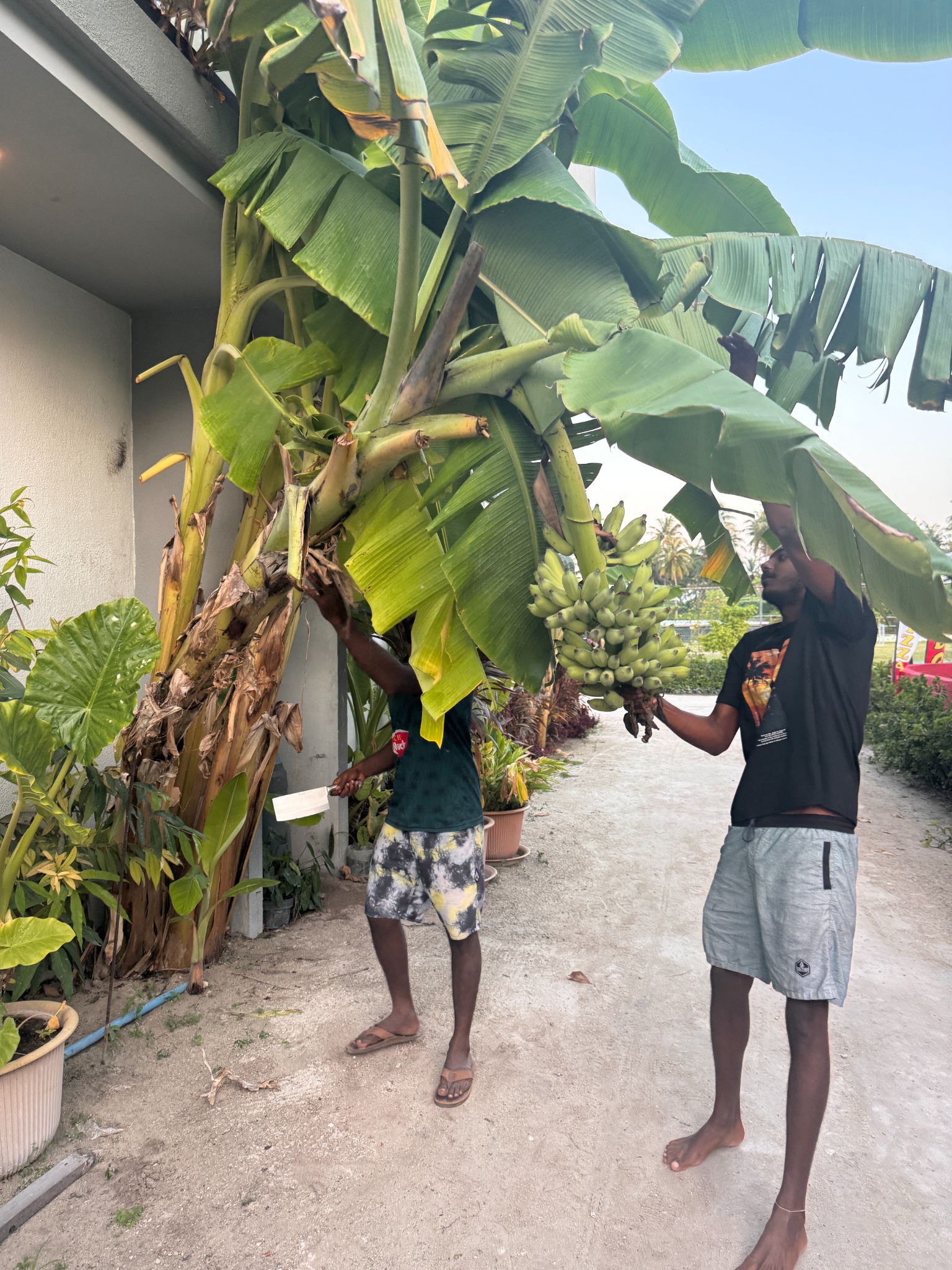 2025 03 08 18.10.54 iphone 15pm