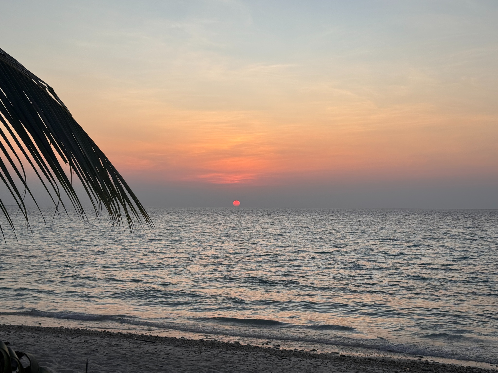 2025 03 08 18.18.40 iphone 15pm