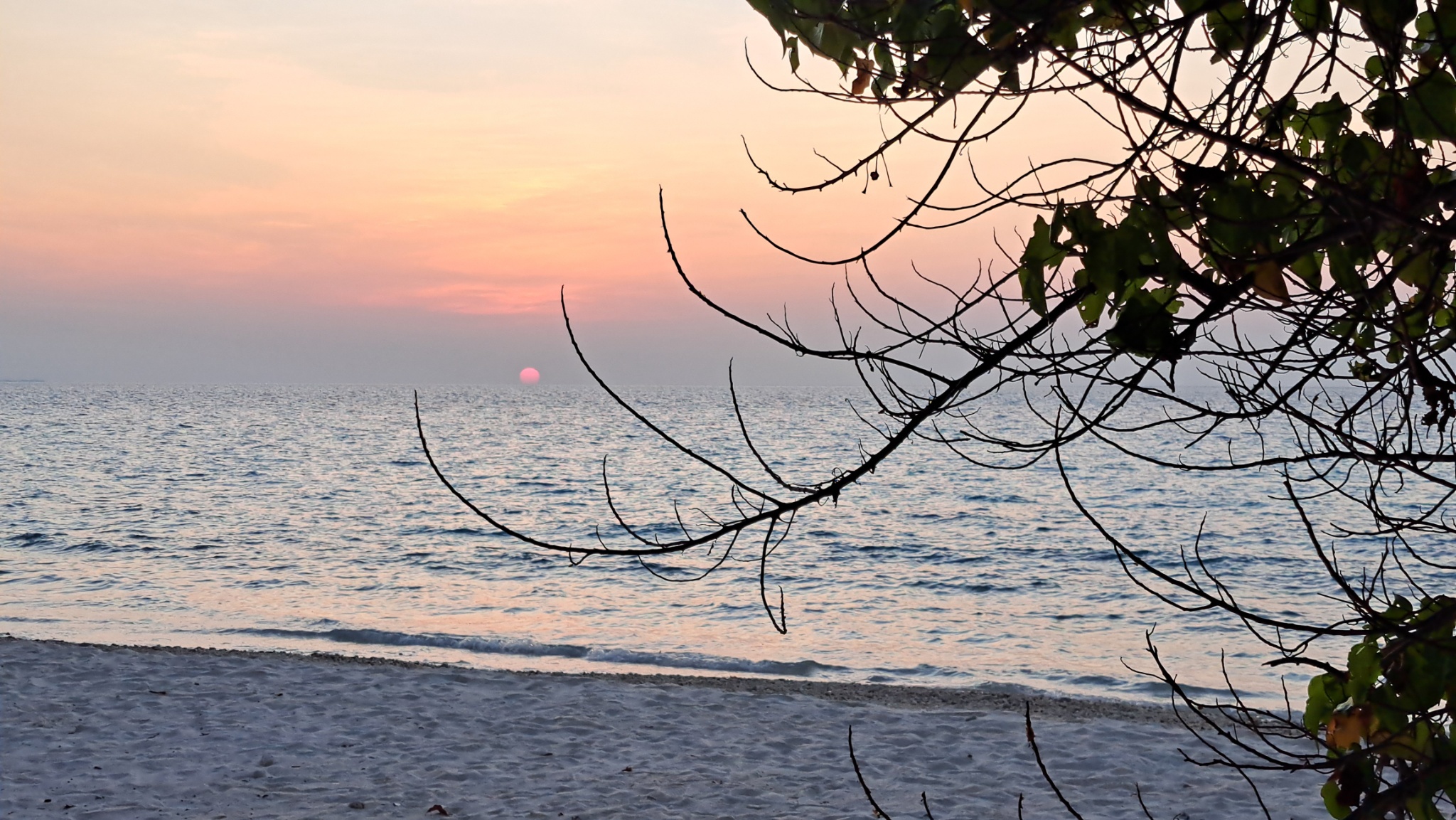 2025 03 08 18.19.09 samsung a53