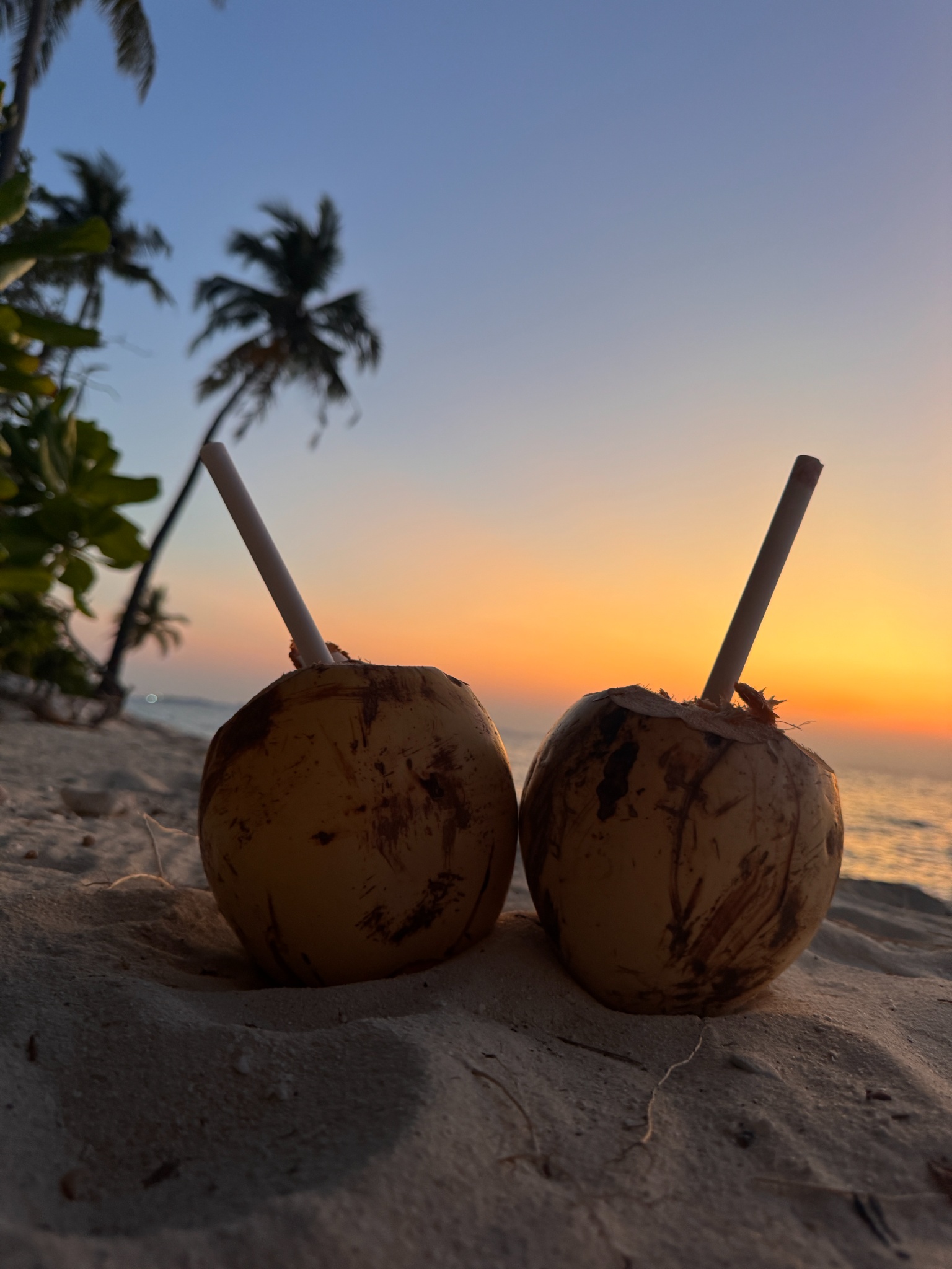 2025 03 08 18.37.53 iphone 15pm