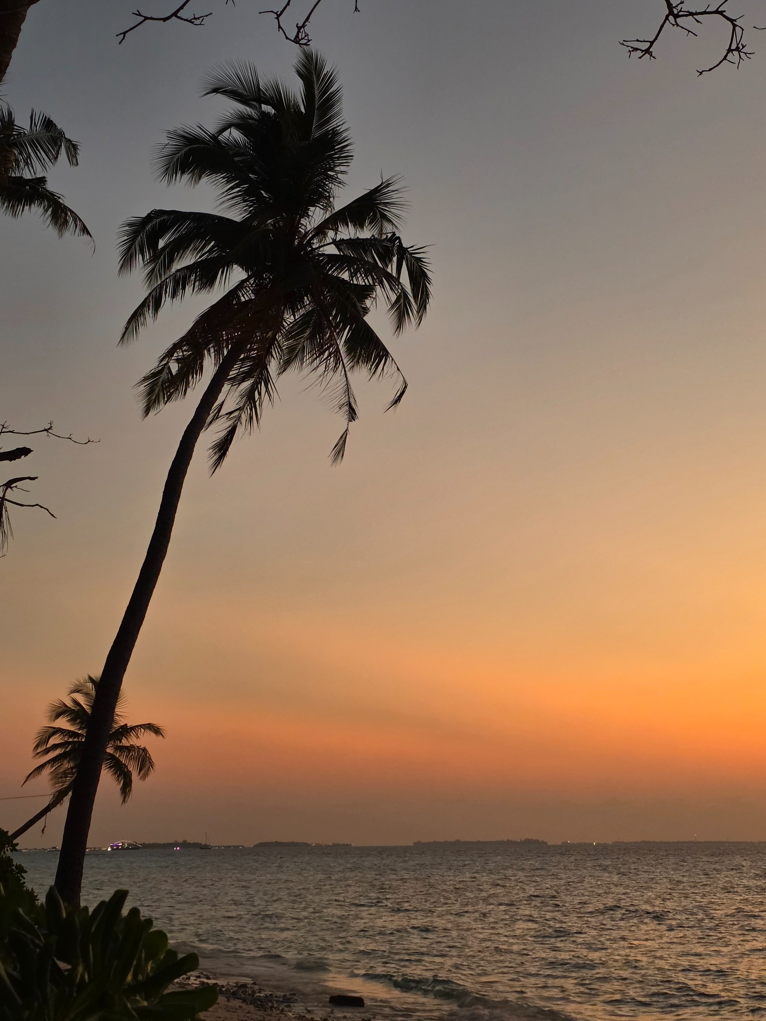 2025 03 08 18.39.29 samsung s25u