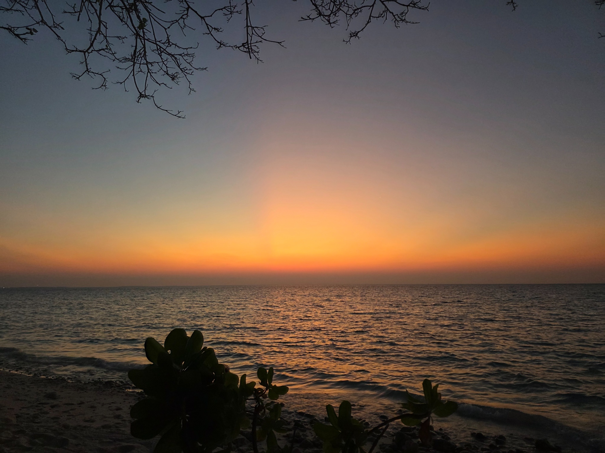 2025 03 08 18.40.40 samsung s25u