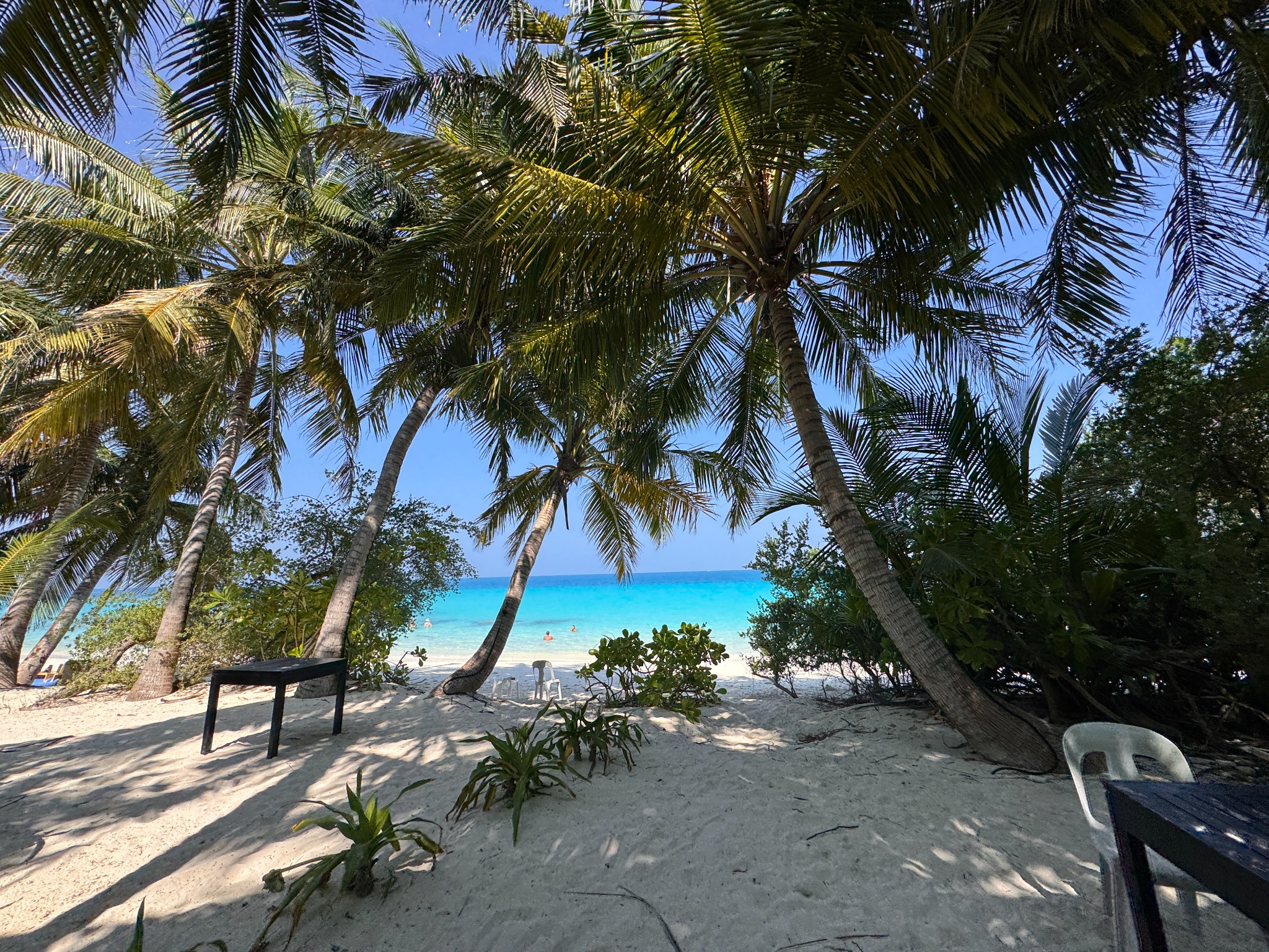 2025 03 09 10.10.01 iphone 15pm