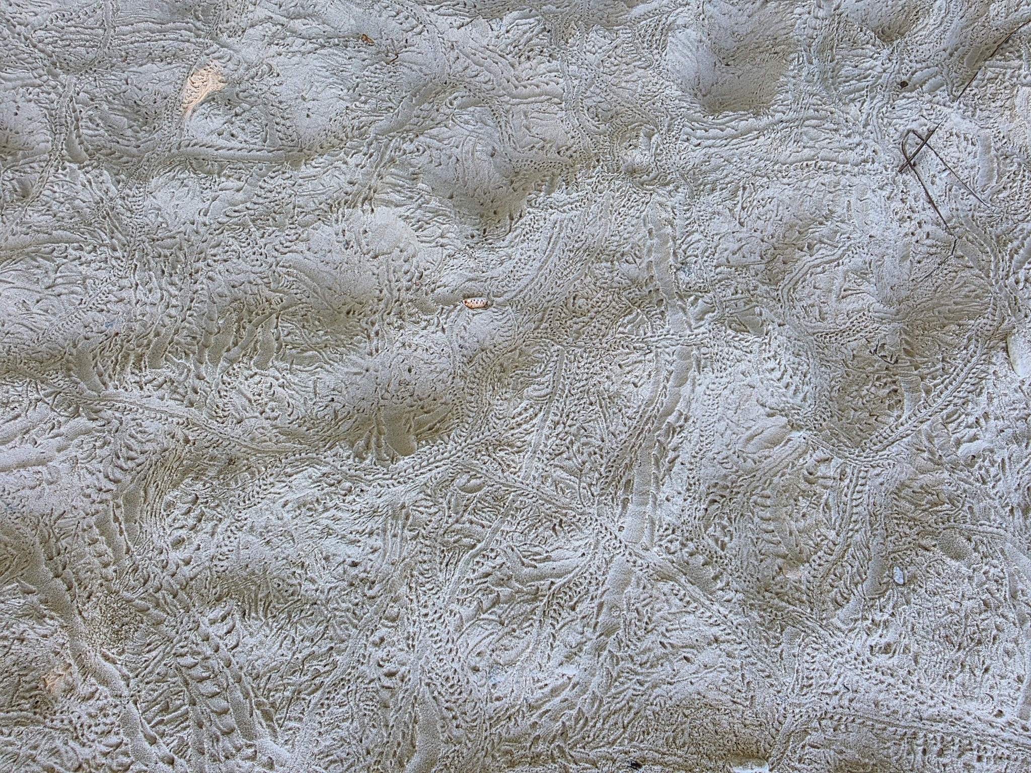 2025 03 09 10.12.19 samsung s25u