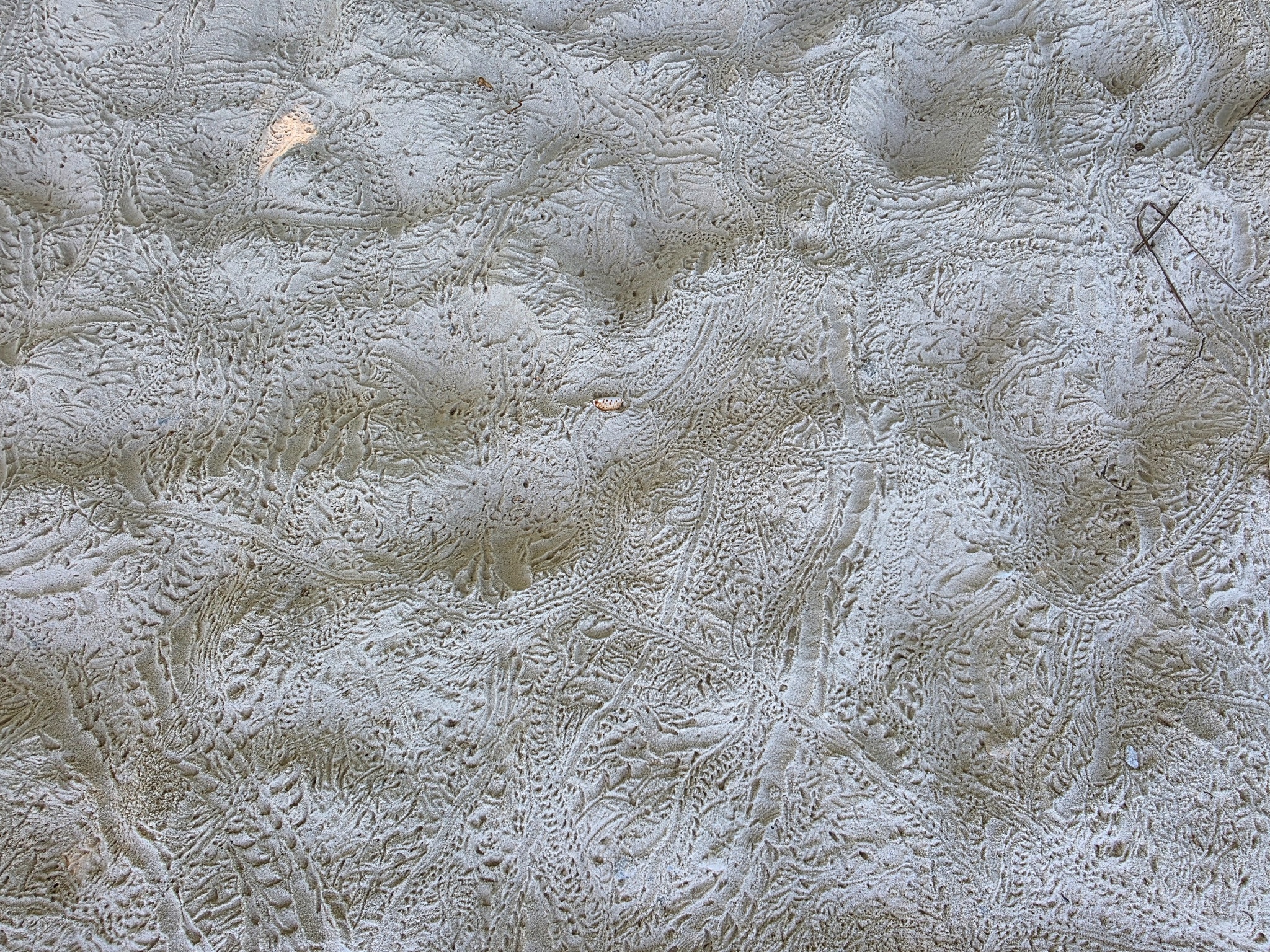 2025 03 09 10.12.20 samsung s25u