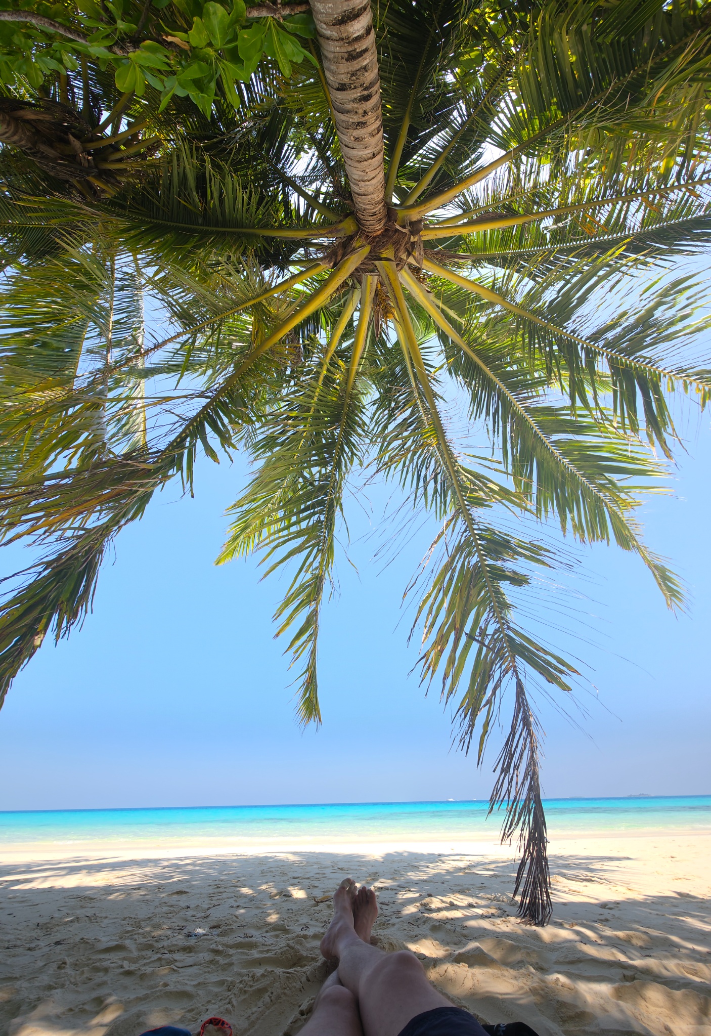 2025 03 09 10.35.03 samsung s25u