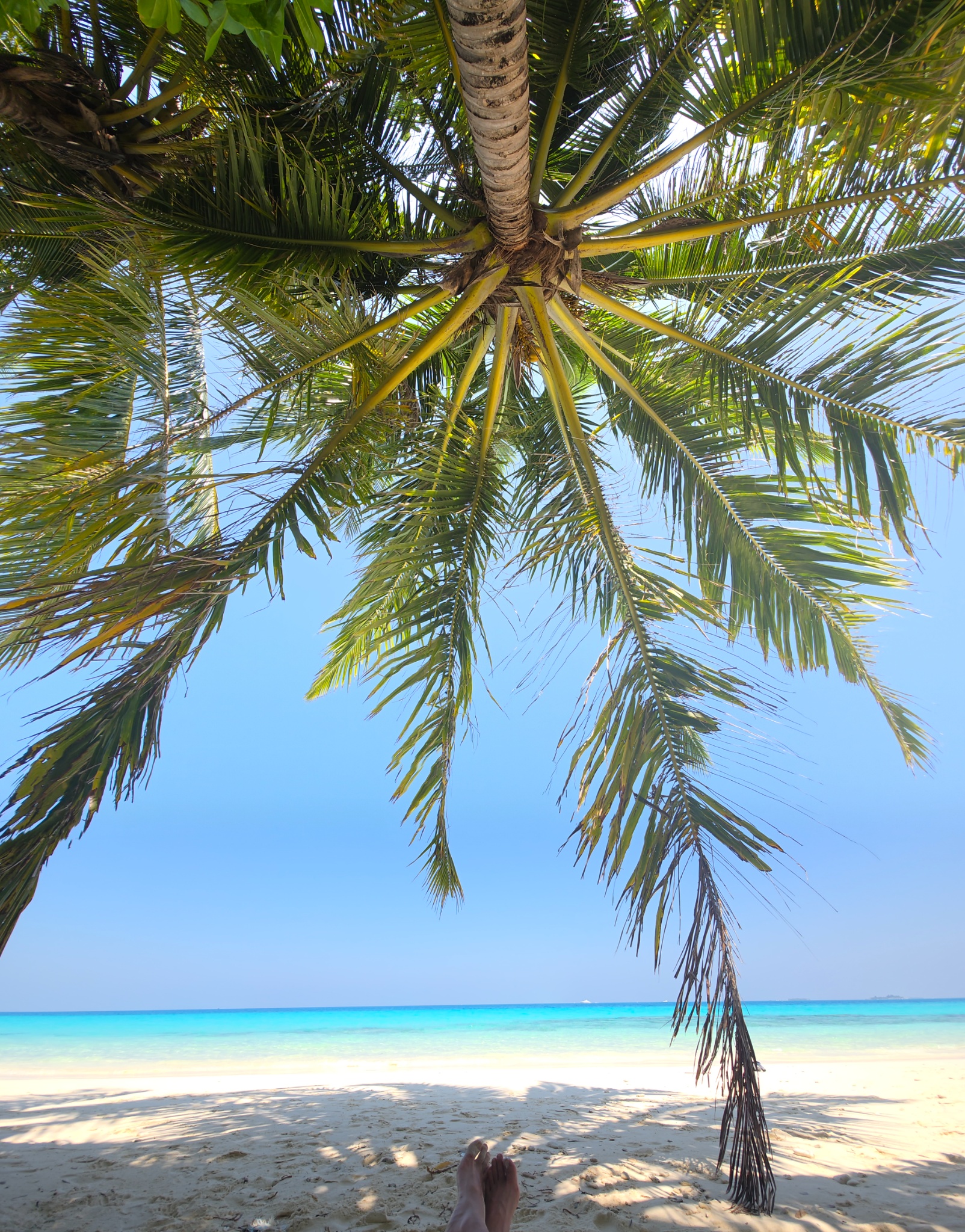 2025 03 09 10.35.31 samsung s25u