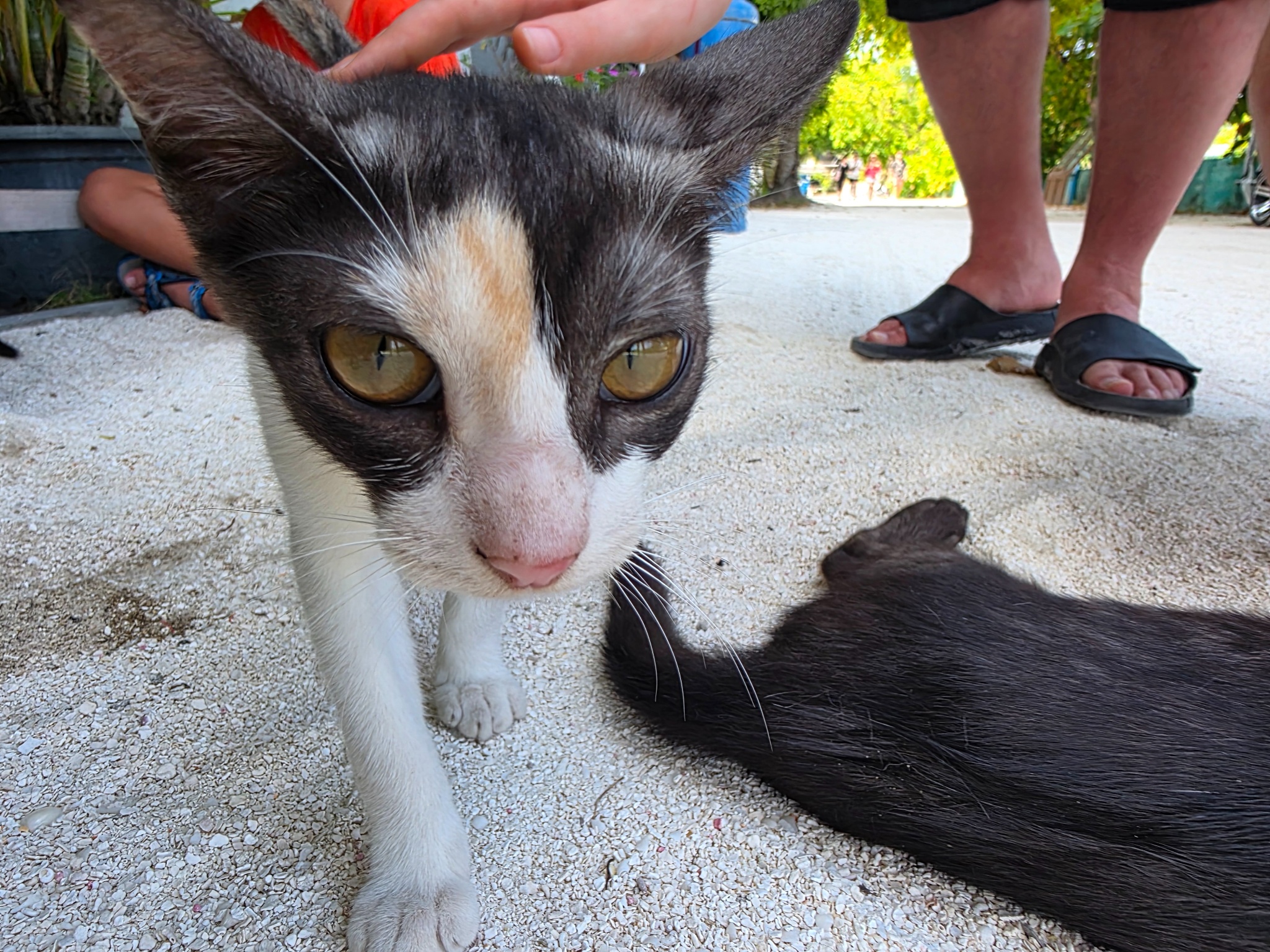 2025 03 09 15.02.08 samsung s25u