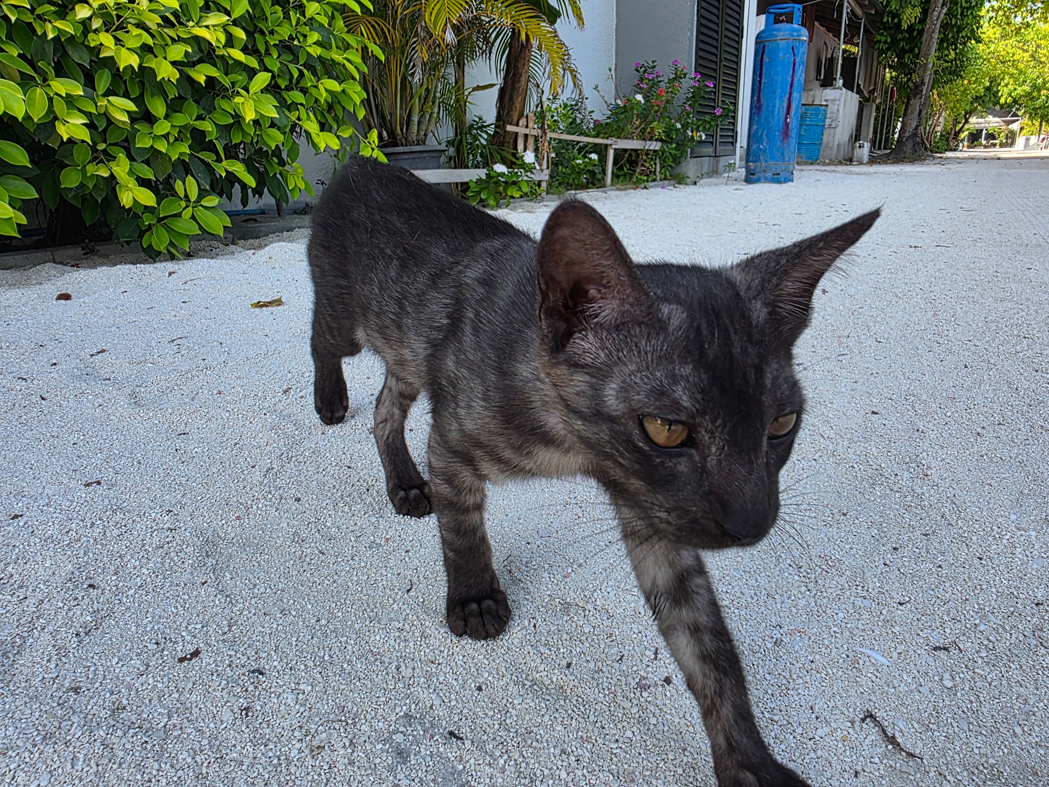 2025 03 09 15.28.38 samsung s25u