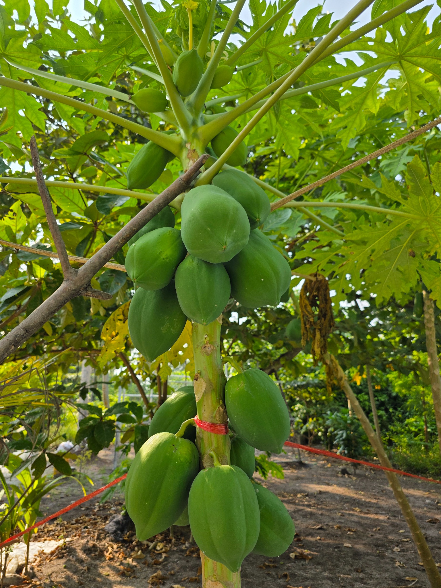 2025 03 09 15.46.22 samsung s25u