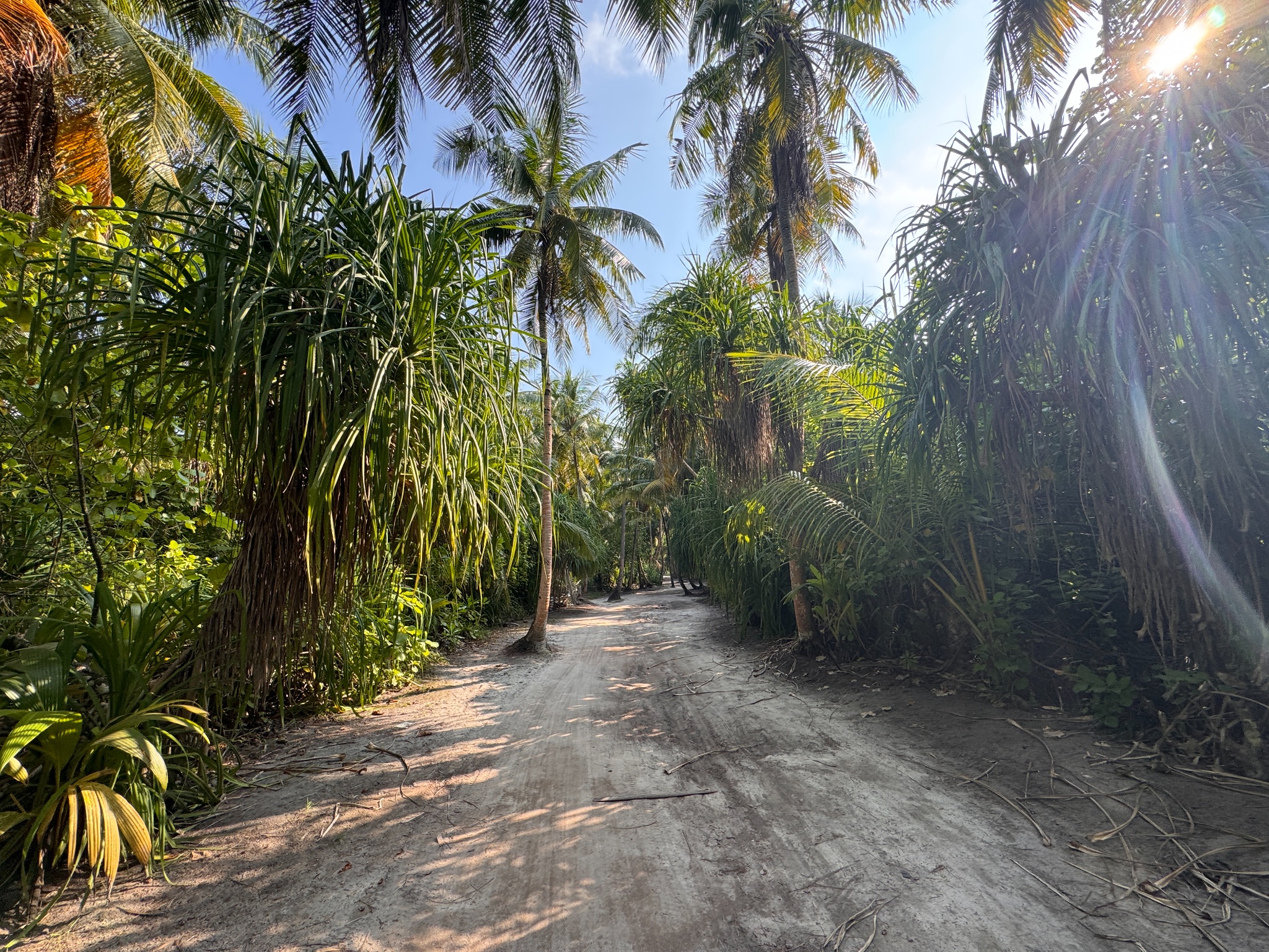 2025 03 09 15.54.34 iphone 15pm