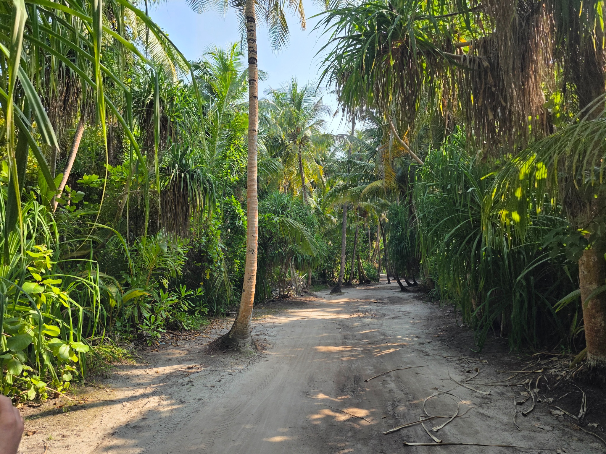 2025 03 09 15.54.39 samsung s25u