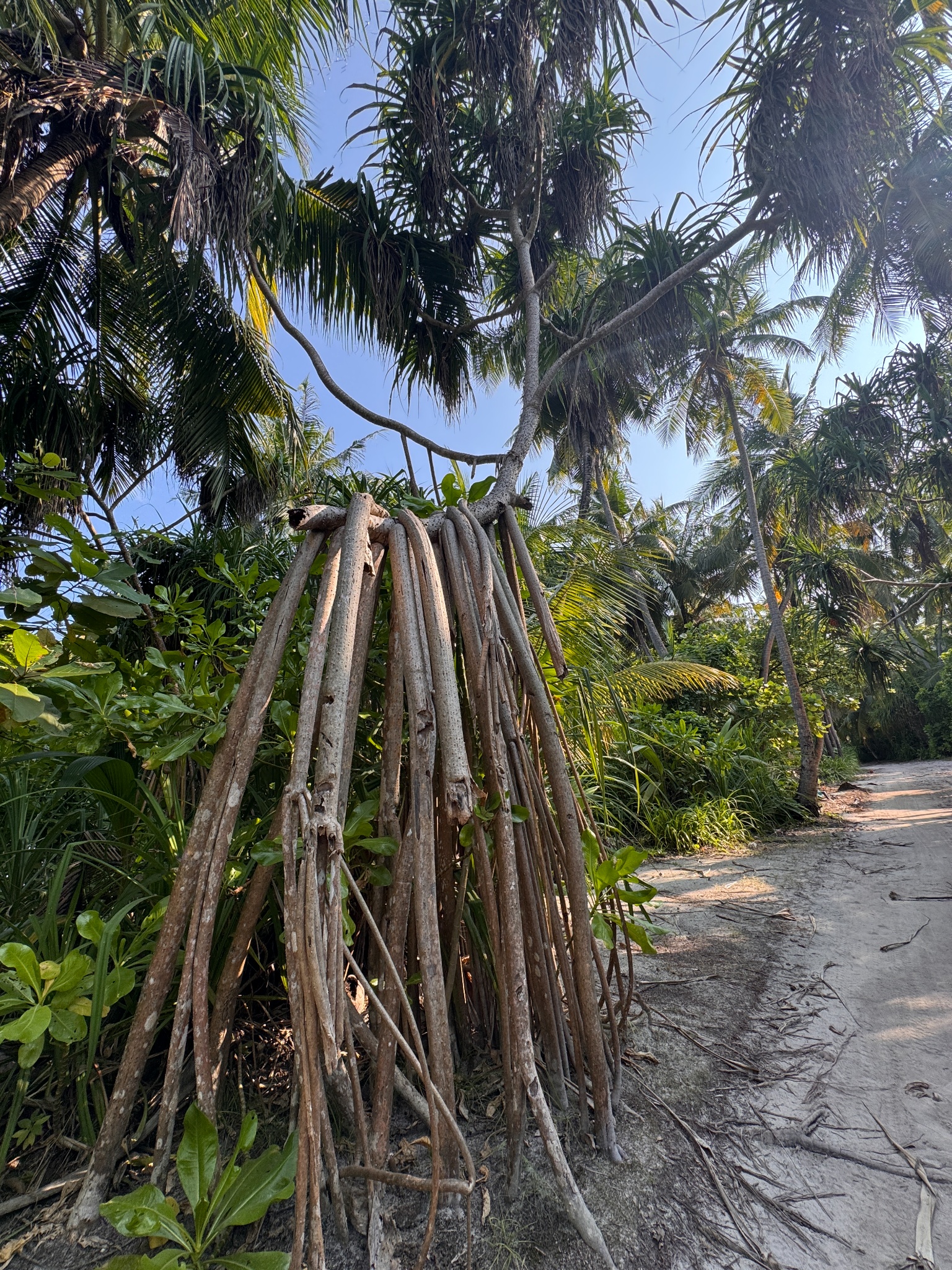 2025 03 09 15.59.41 iphone 15pm