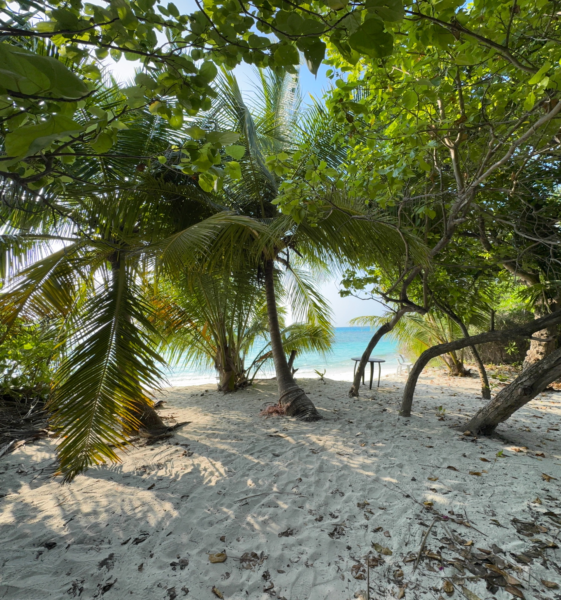 2025 03 09 16.11.17 iphone 15pm