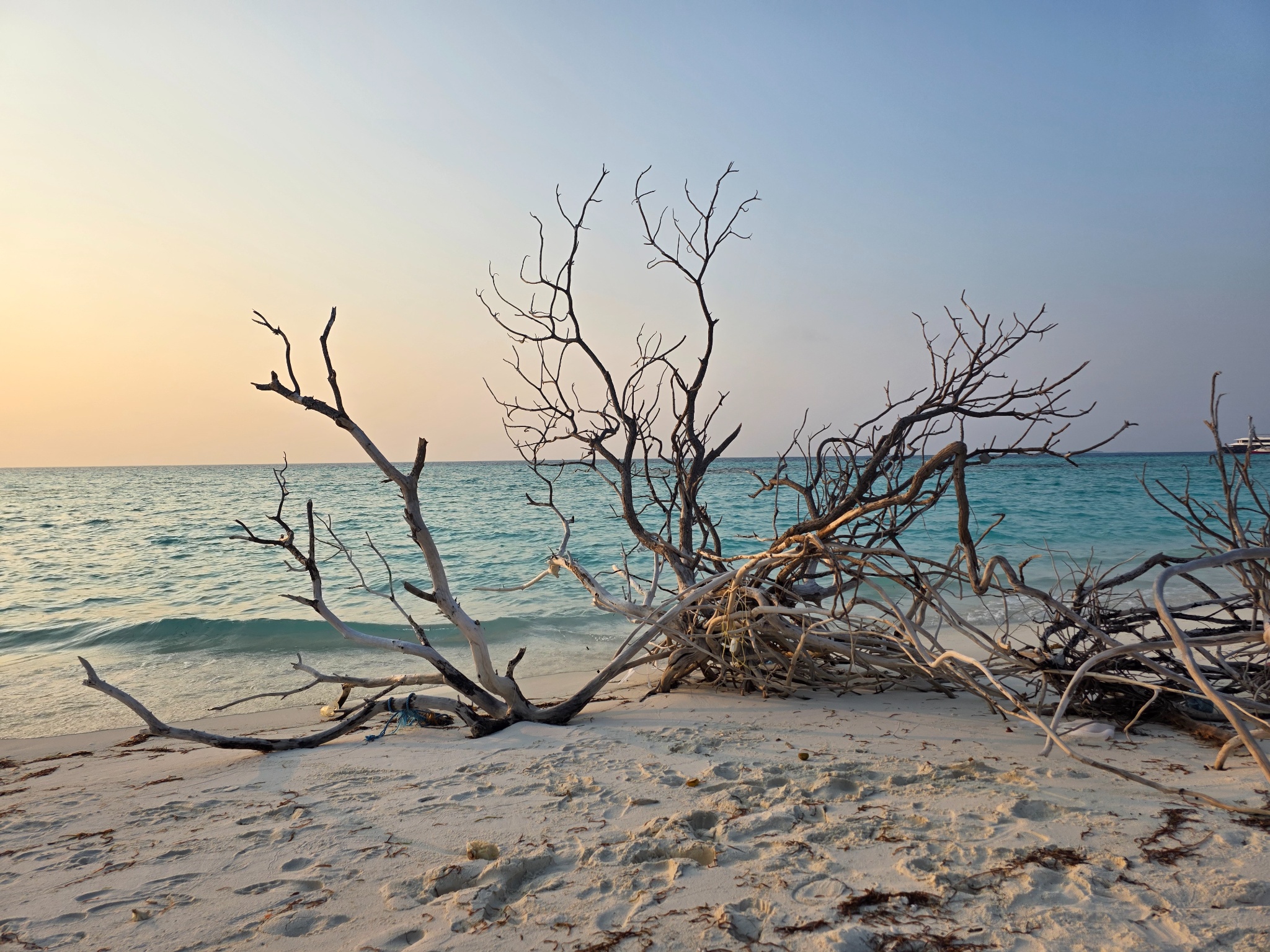 2025 03 09 17.45.45 samsung s25u