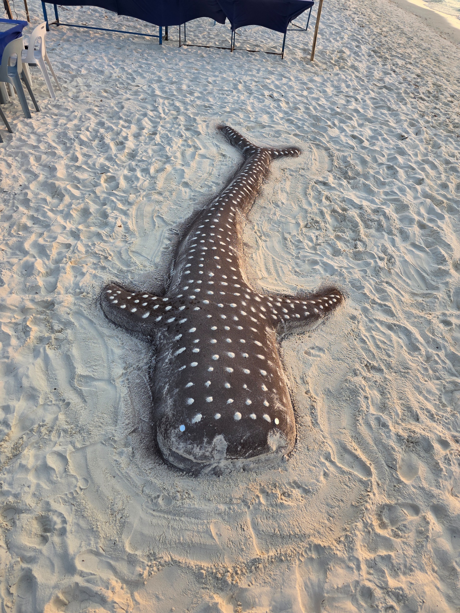 2025 03 09 17.51.23 samsung s25u