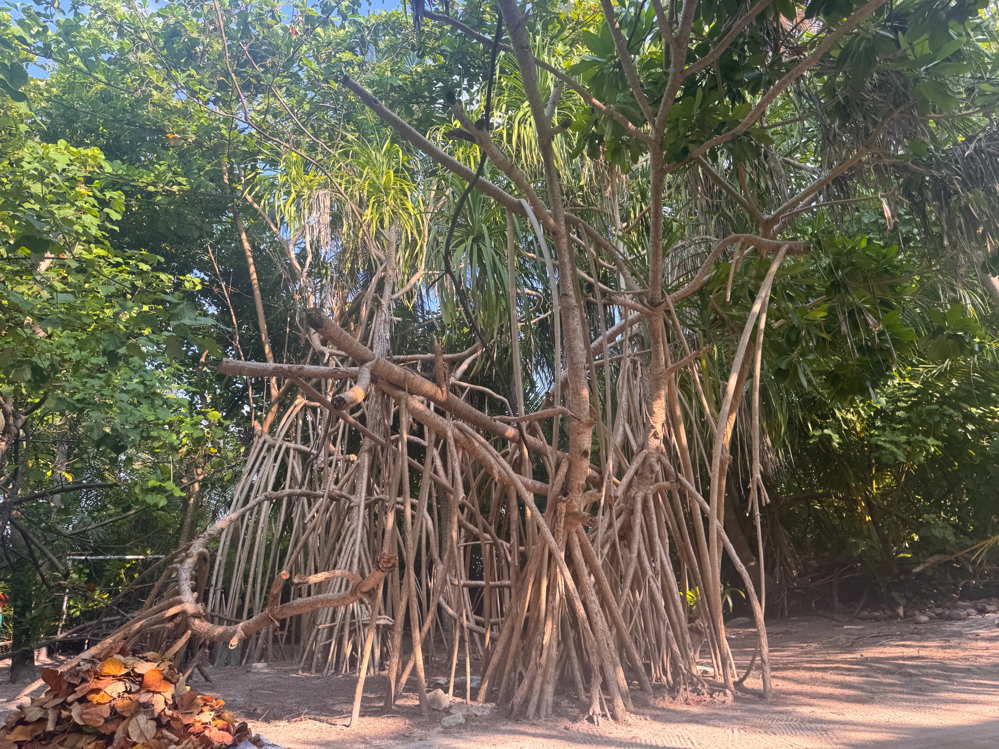 2025 03 10 08.08.31 iphone 15pm