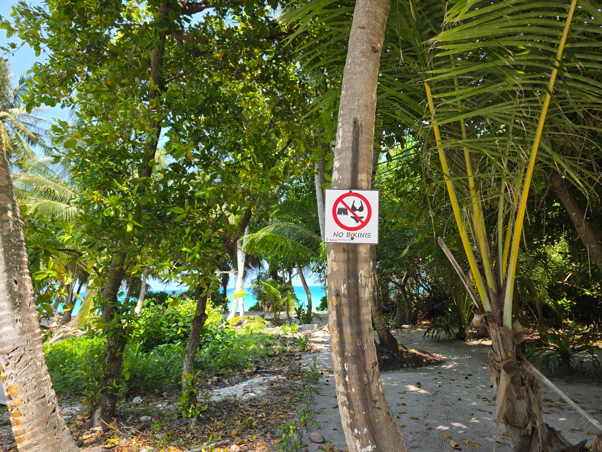 2025 03 10 11.03.26 samsung s25u