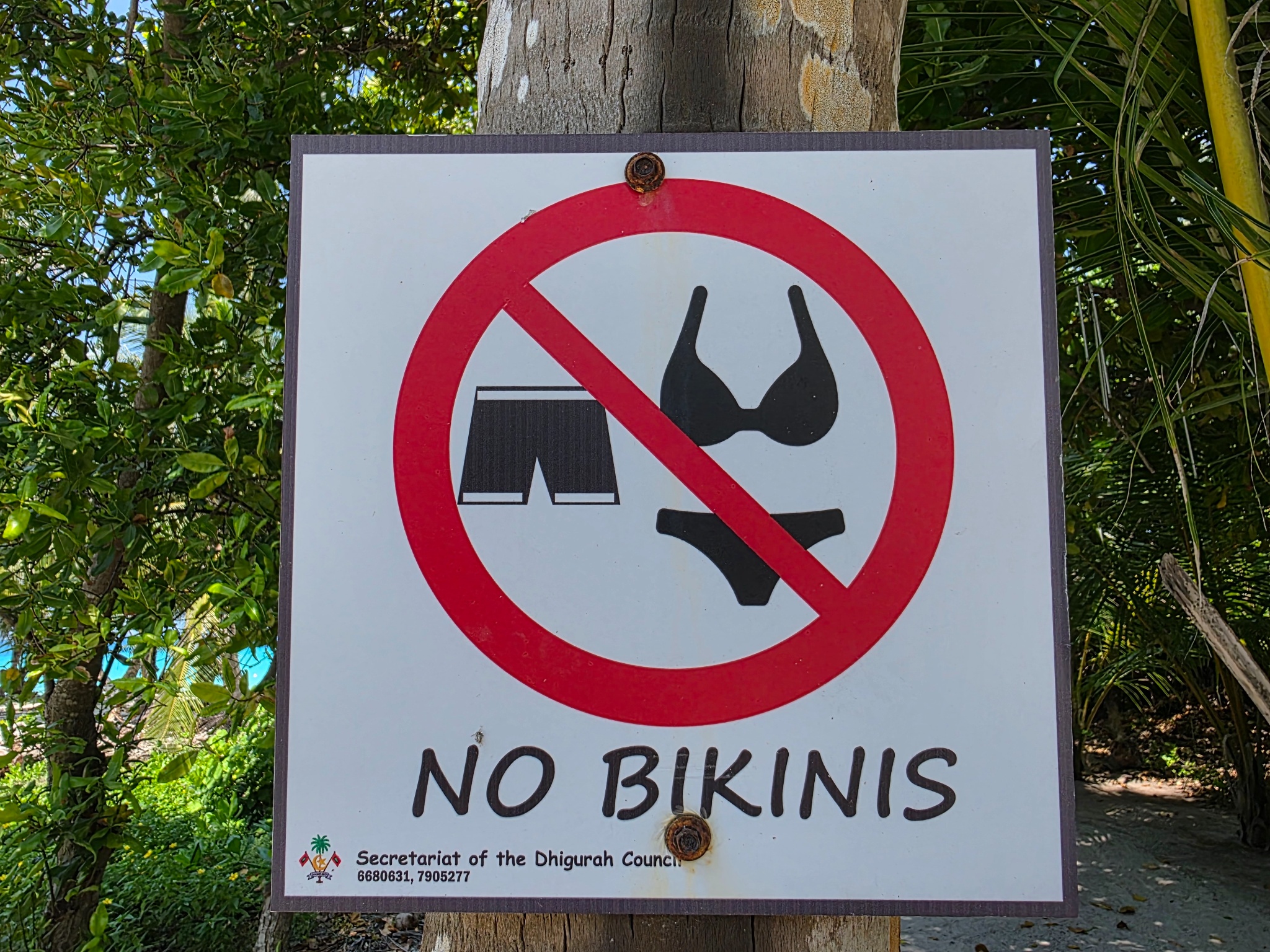 2025 03 10 11.03.41 samsung s25u