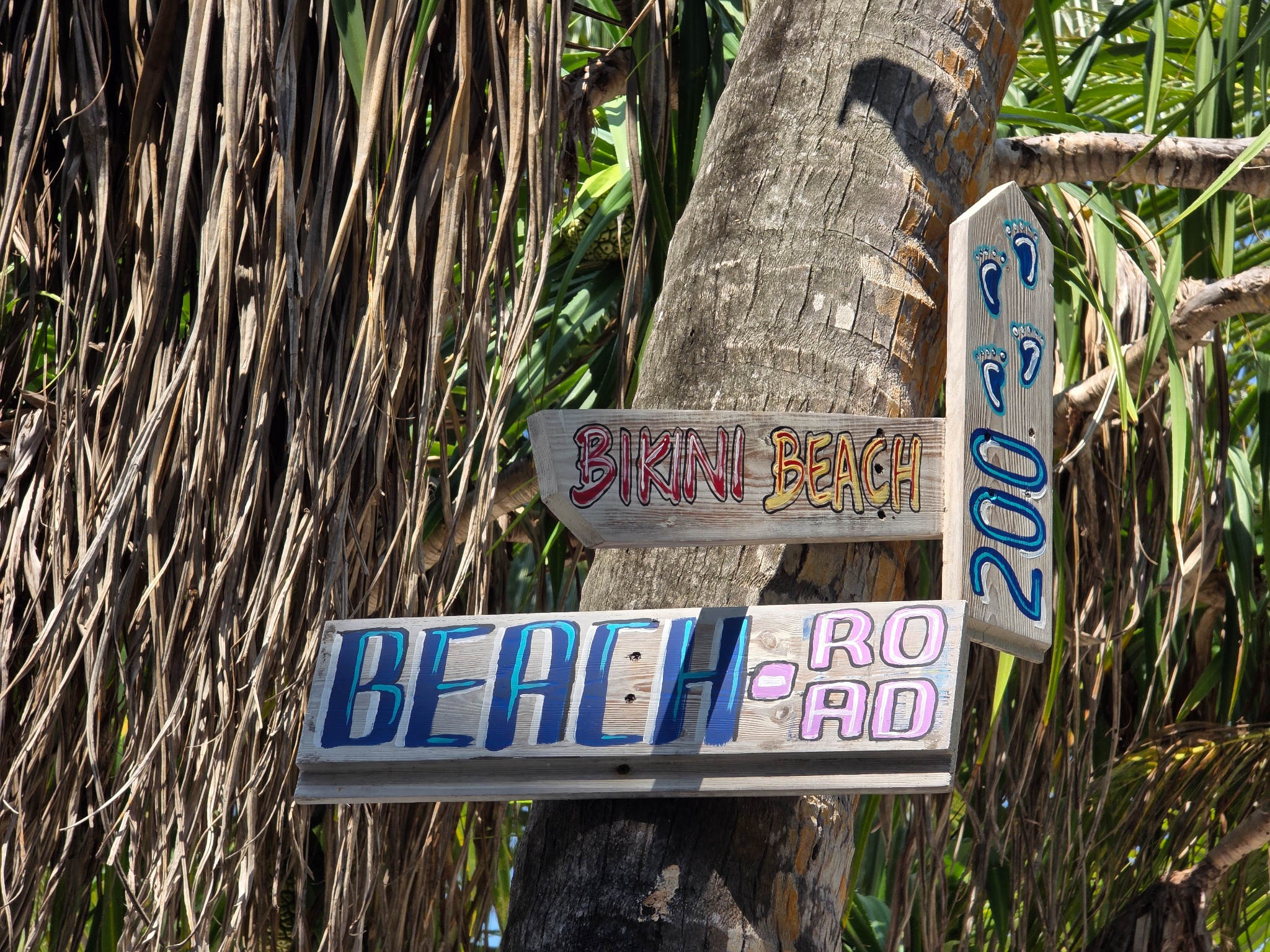 2025 03 10 11.05.15 samsung s25u