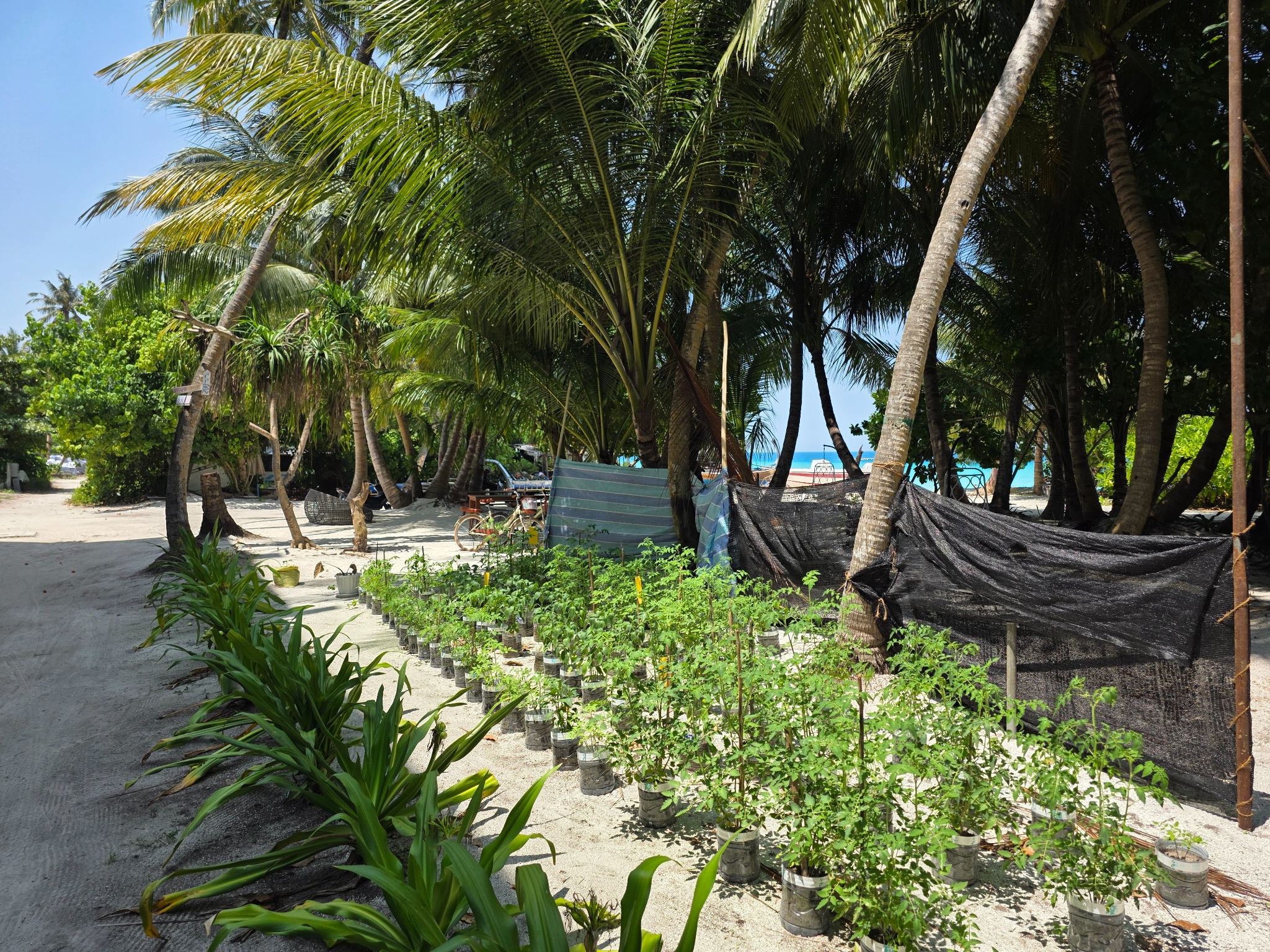 2025 03 10 11.05.56 samsung s25u