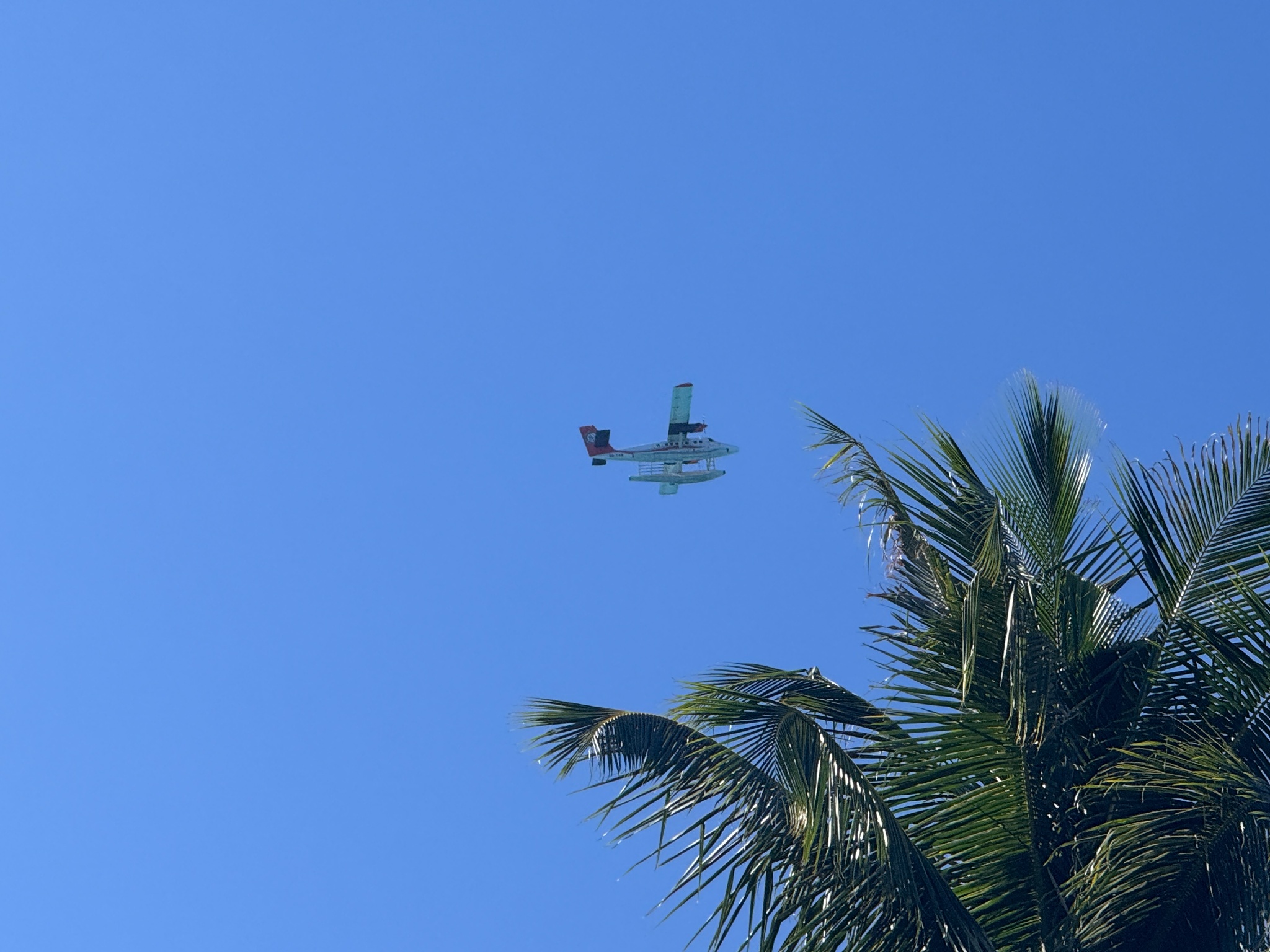 2025 03 06 15.29.15 iphone 15pm