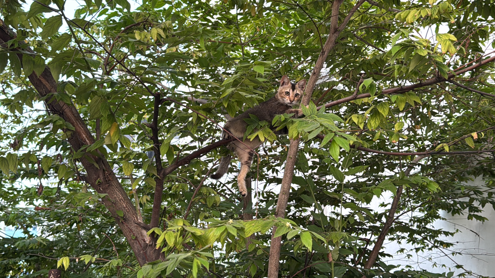 2025 03 10 18.08.51 iphone 15pm