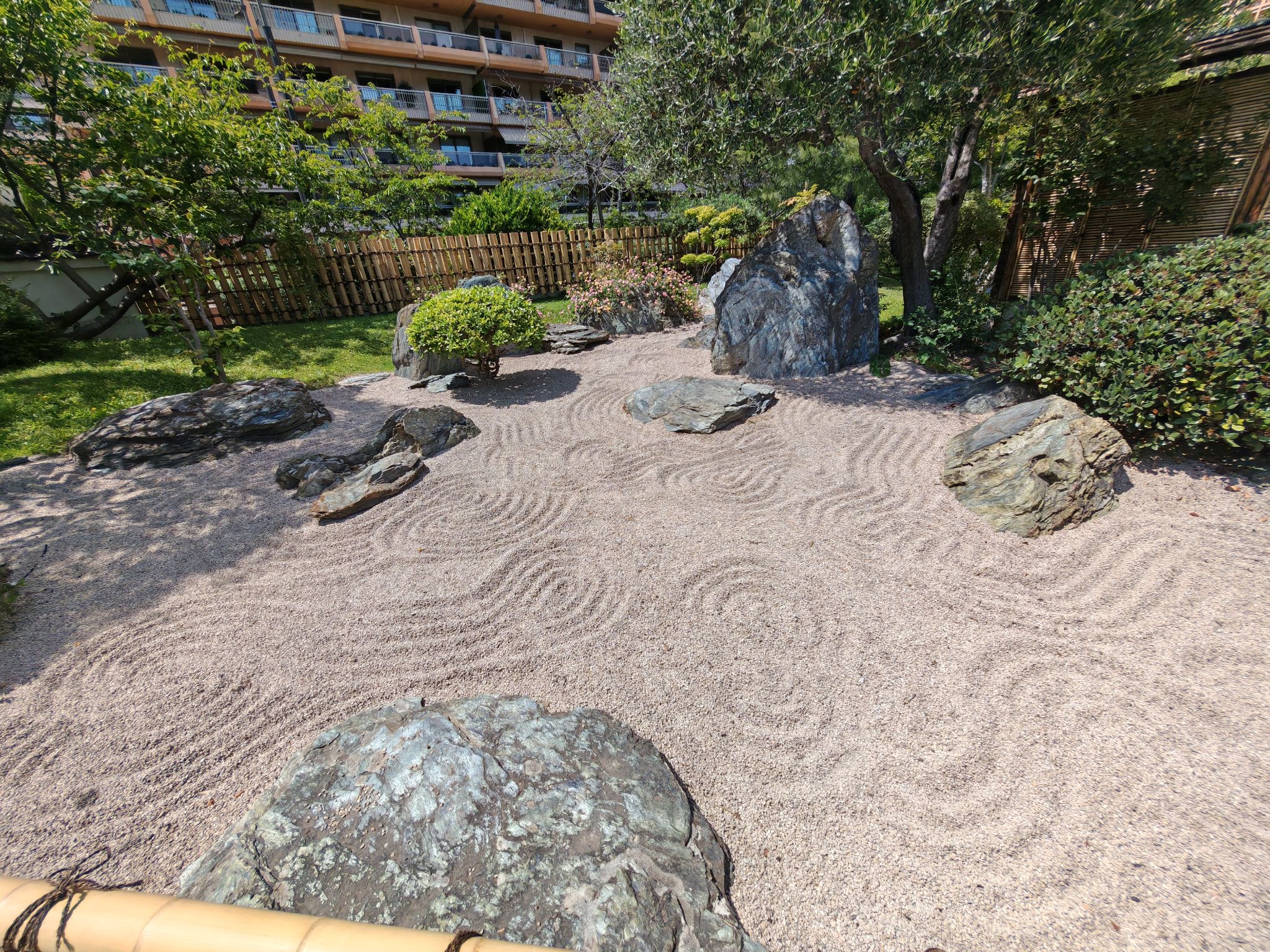 2024 05 19 14.27.01 honor m6p