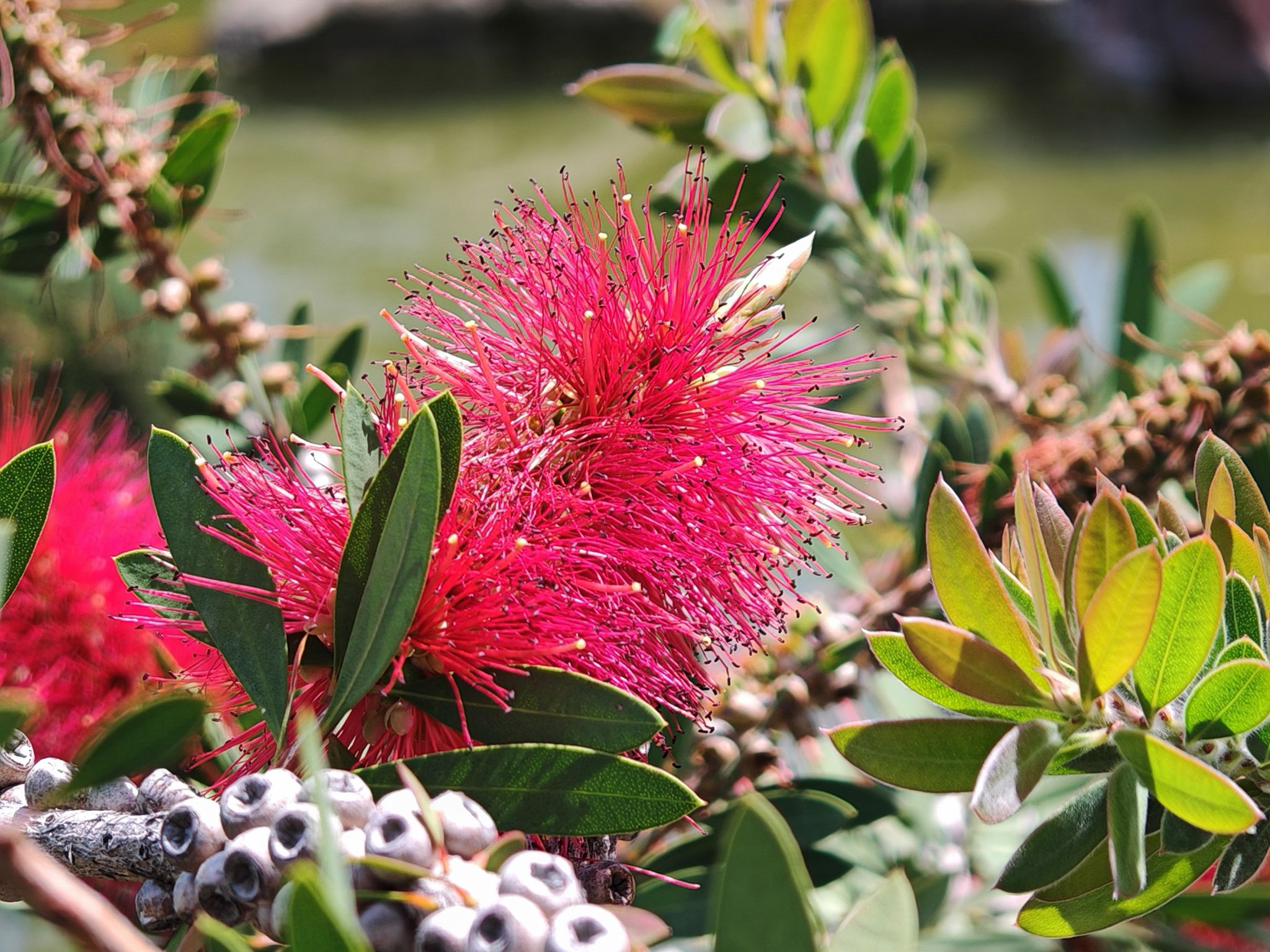 2024 05 19 14.35.51 honor m6p