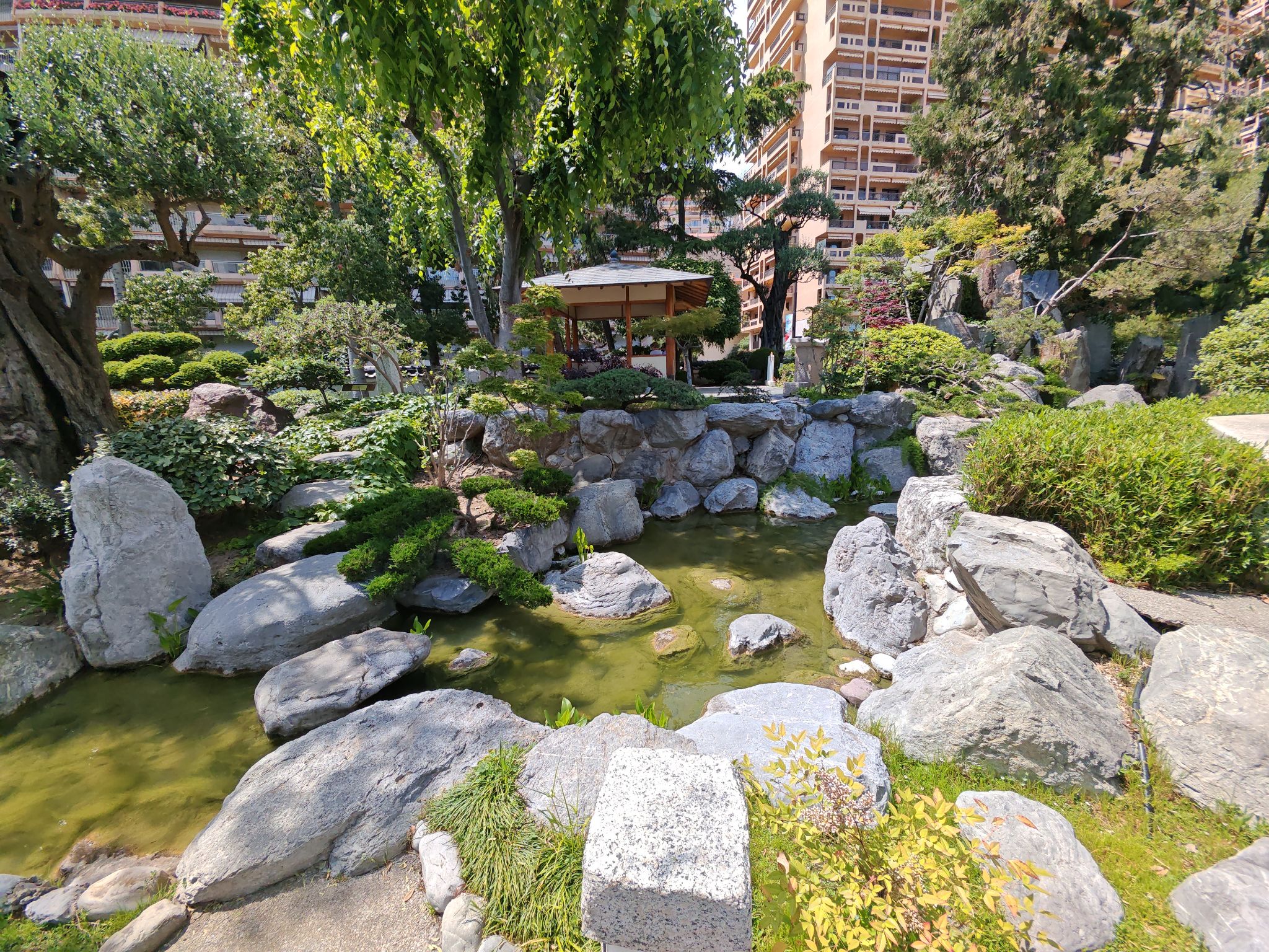 2024 05 19 14.36.05 honor m6p