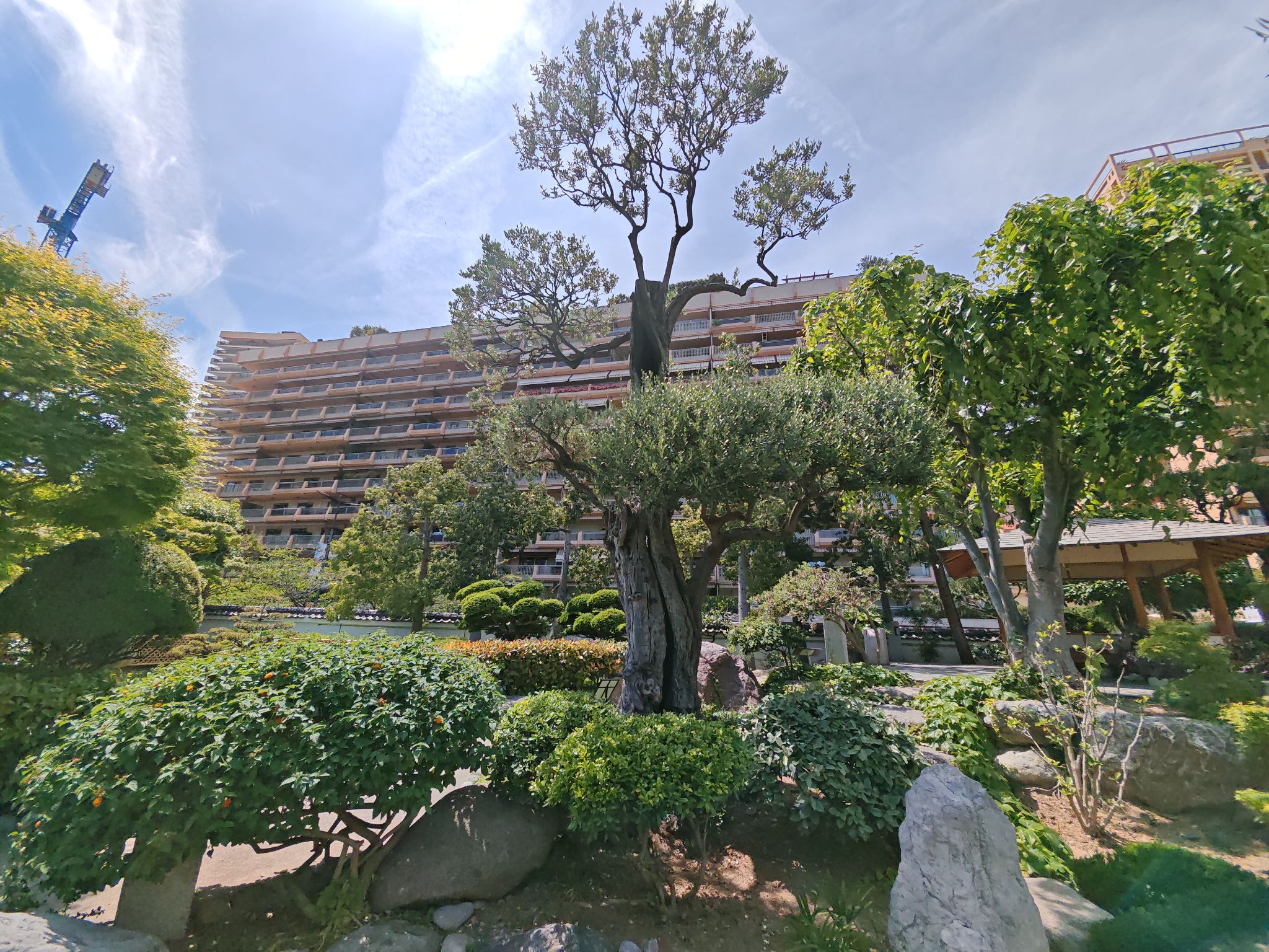 2024 05 19 14.36.12 honor m6p