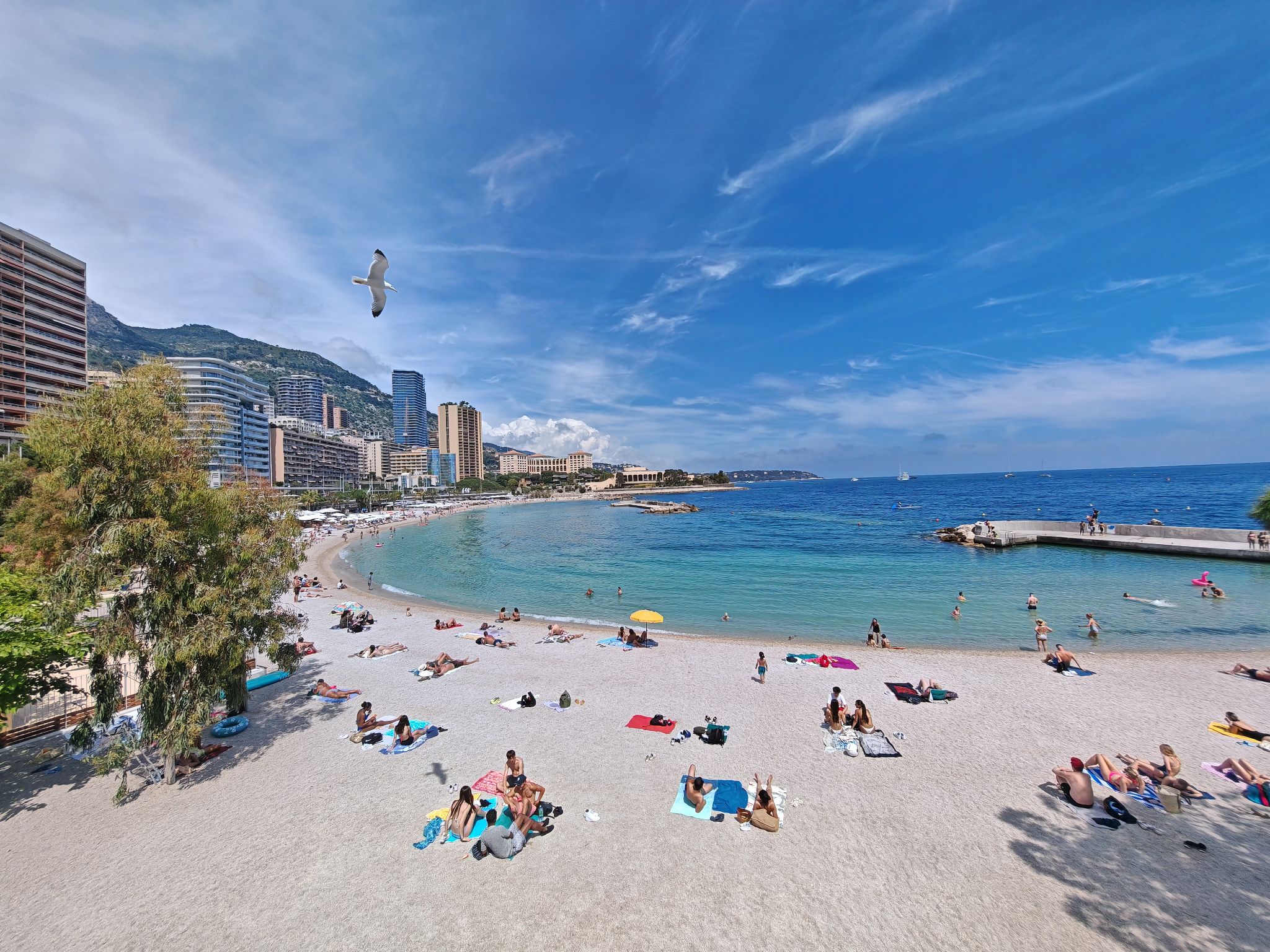 2024 05 19 14.50.40 honor m6p